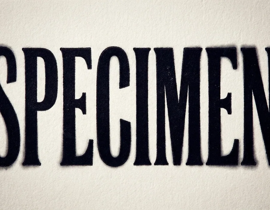 Close-up of large display typography with visible counter spaces and letterform spacing, shot as a typographic specimen