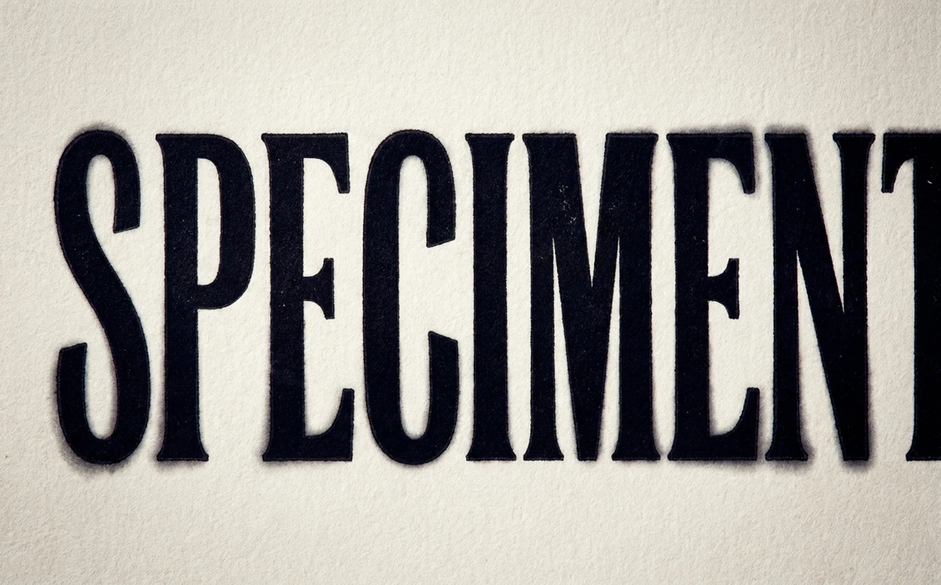 Close-up of large display typography with visible counter spaces and letterform spacing, shot as a typographic specimen