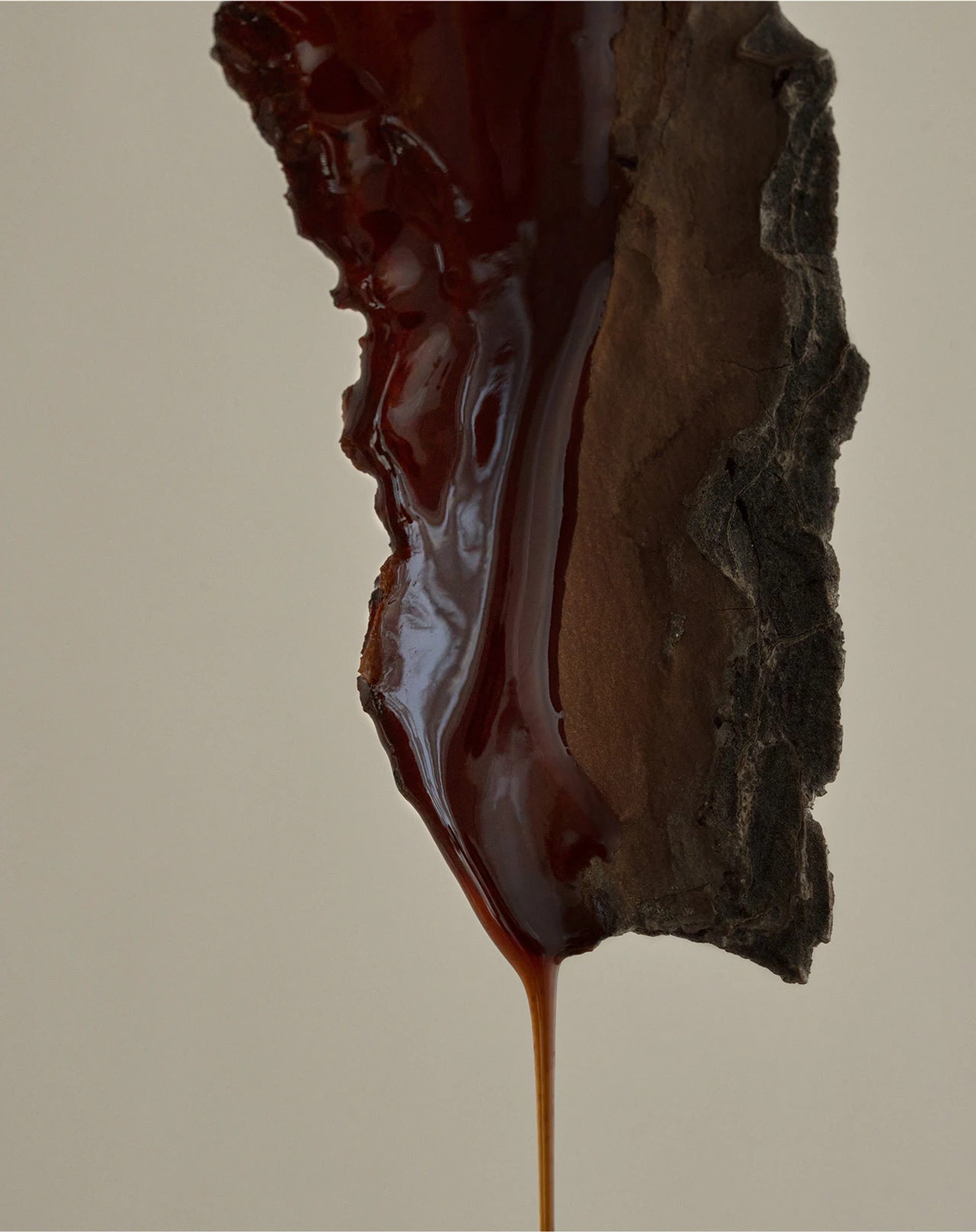 FAWE — Serena Studio, image 2