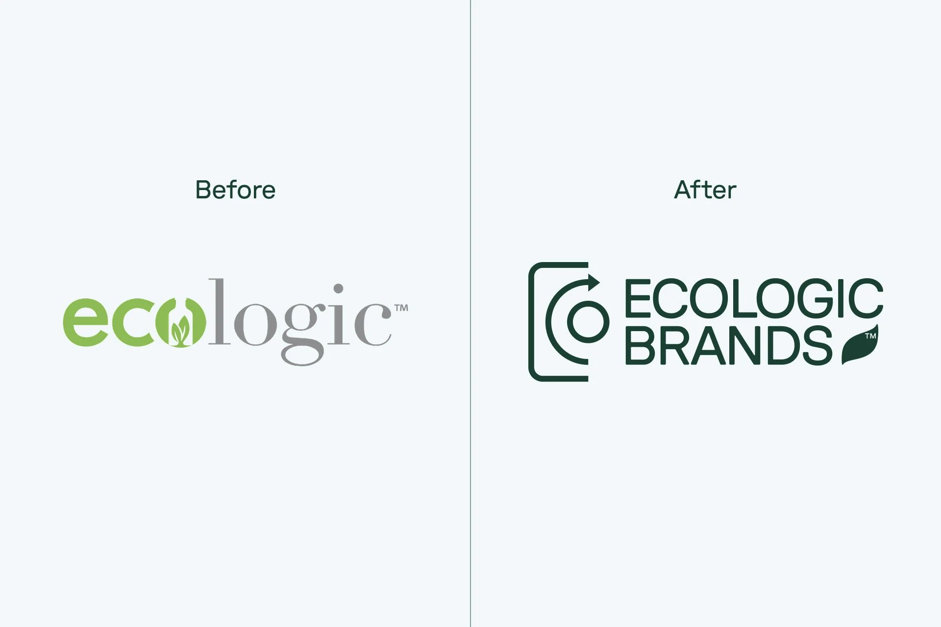 Ecologic Brands — Toormix Design Agency, image 17