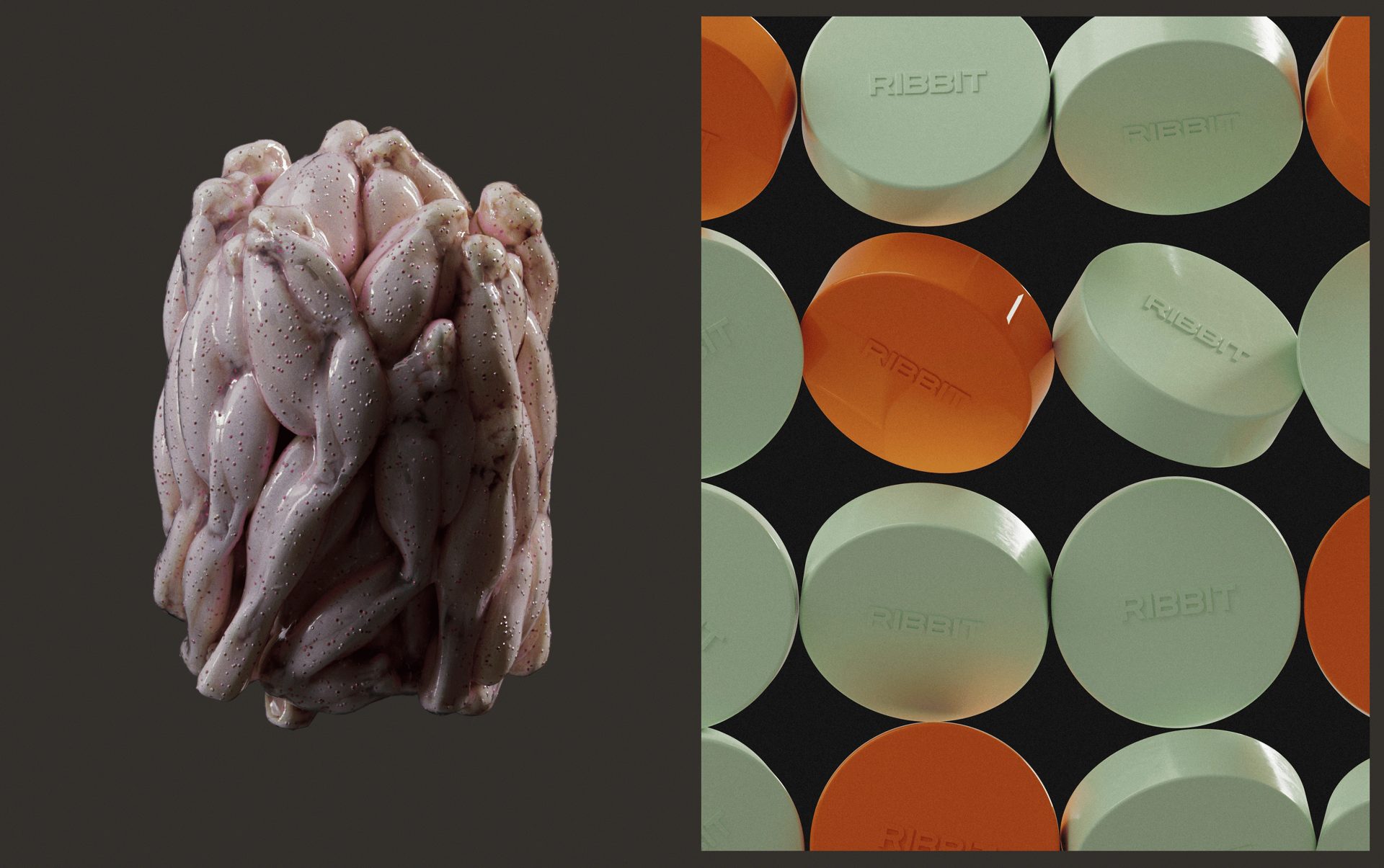 Ribbit - Branding, Packaging Design, & 3D Renderings — Saxon Campbell, image 5