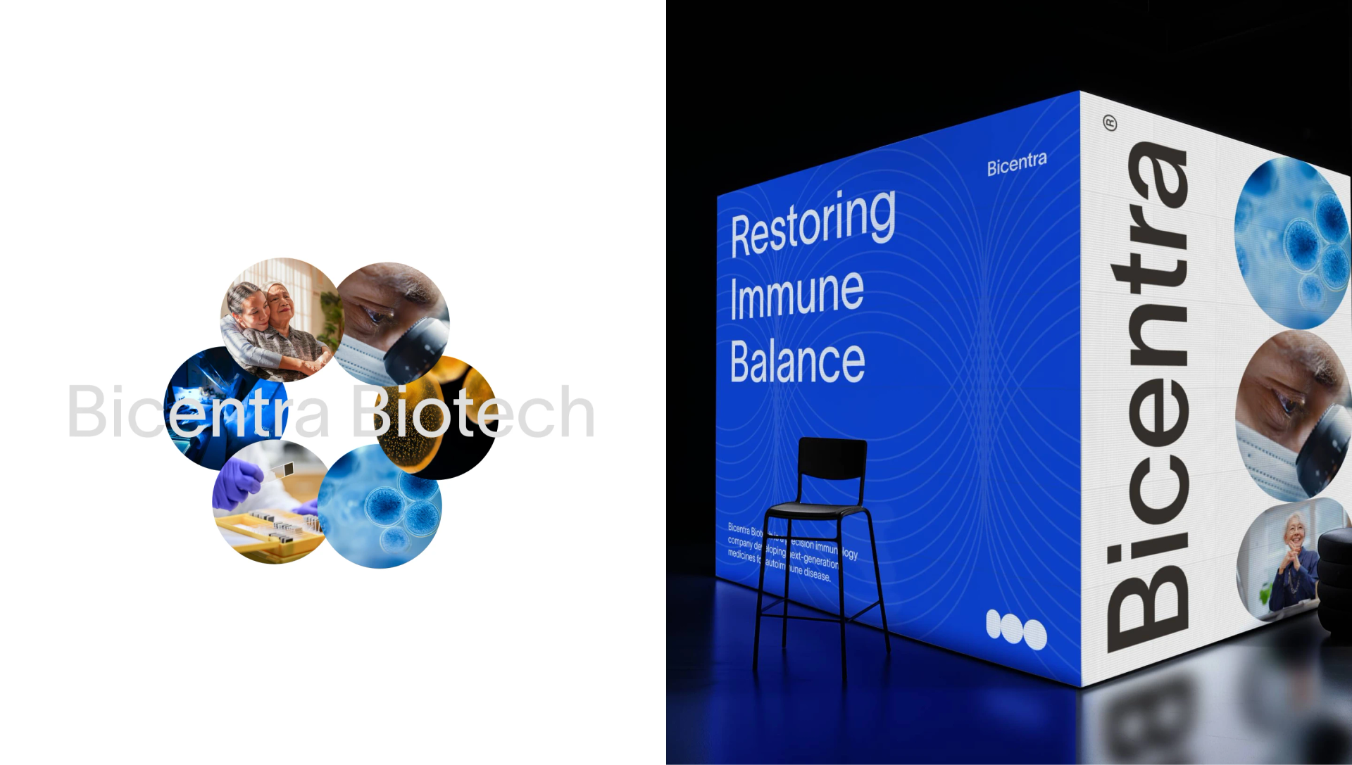 Bicentra Biotech - Brand Identity — Alexander Korzin, image 7