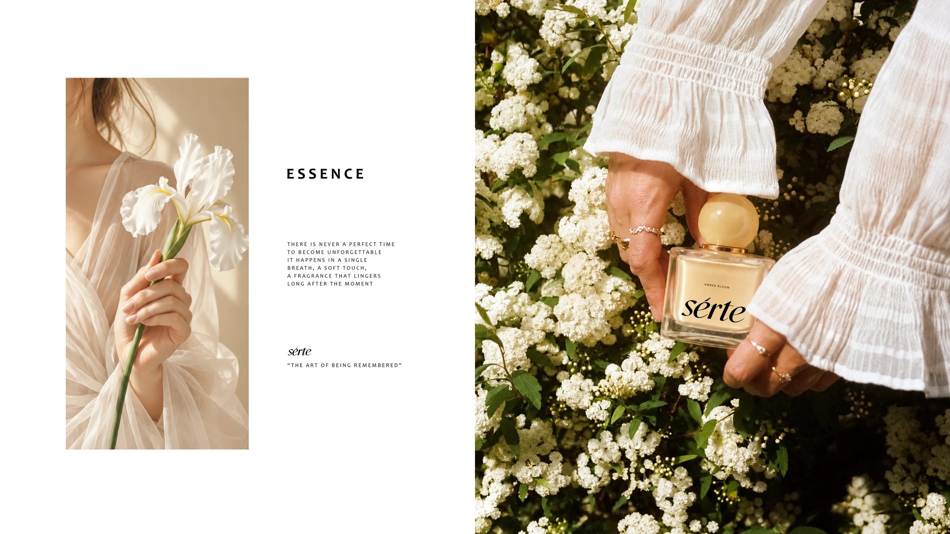 Serte Perfume Branding — Soofi Art Studio, image 15