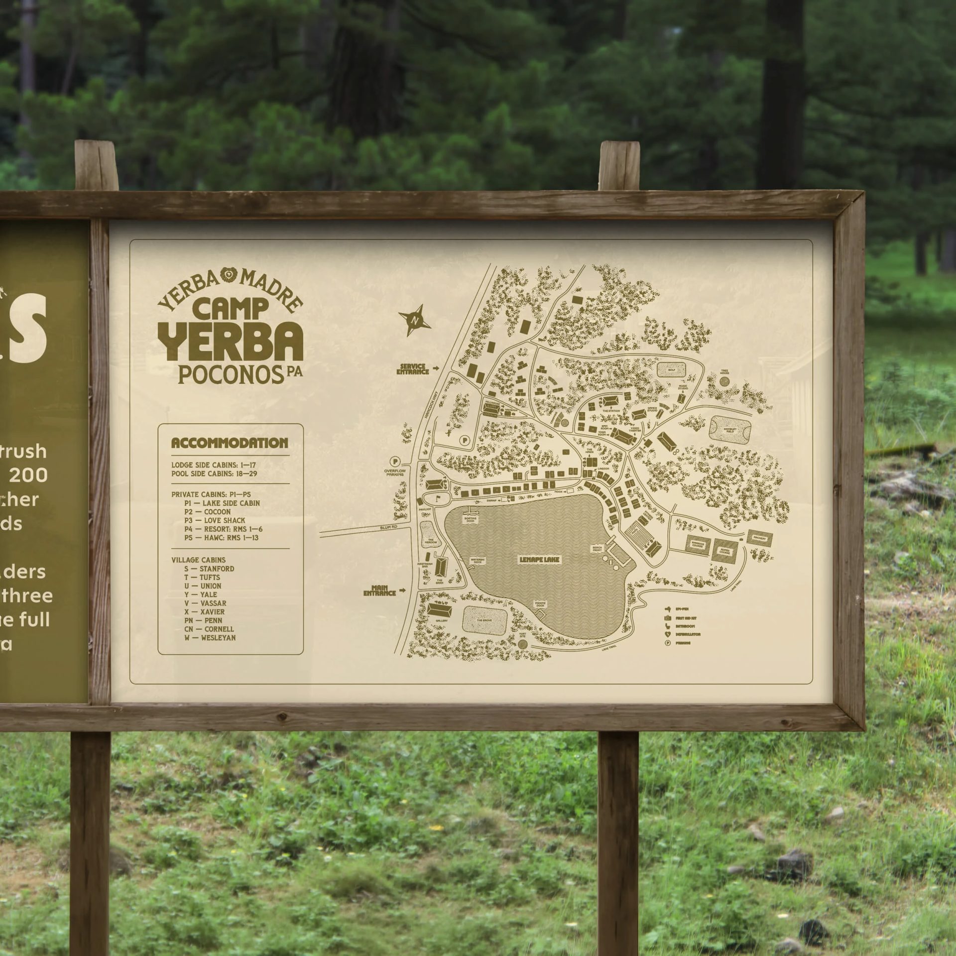 Yerba Madre - Camp Yerba — Forth+Back® Studio, image 13