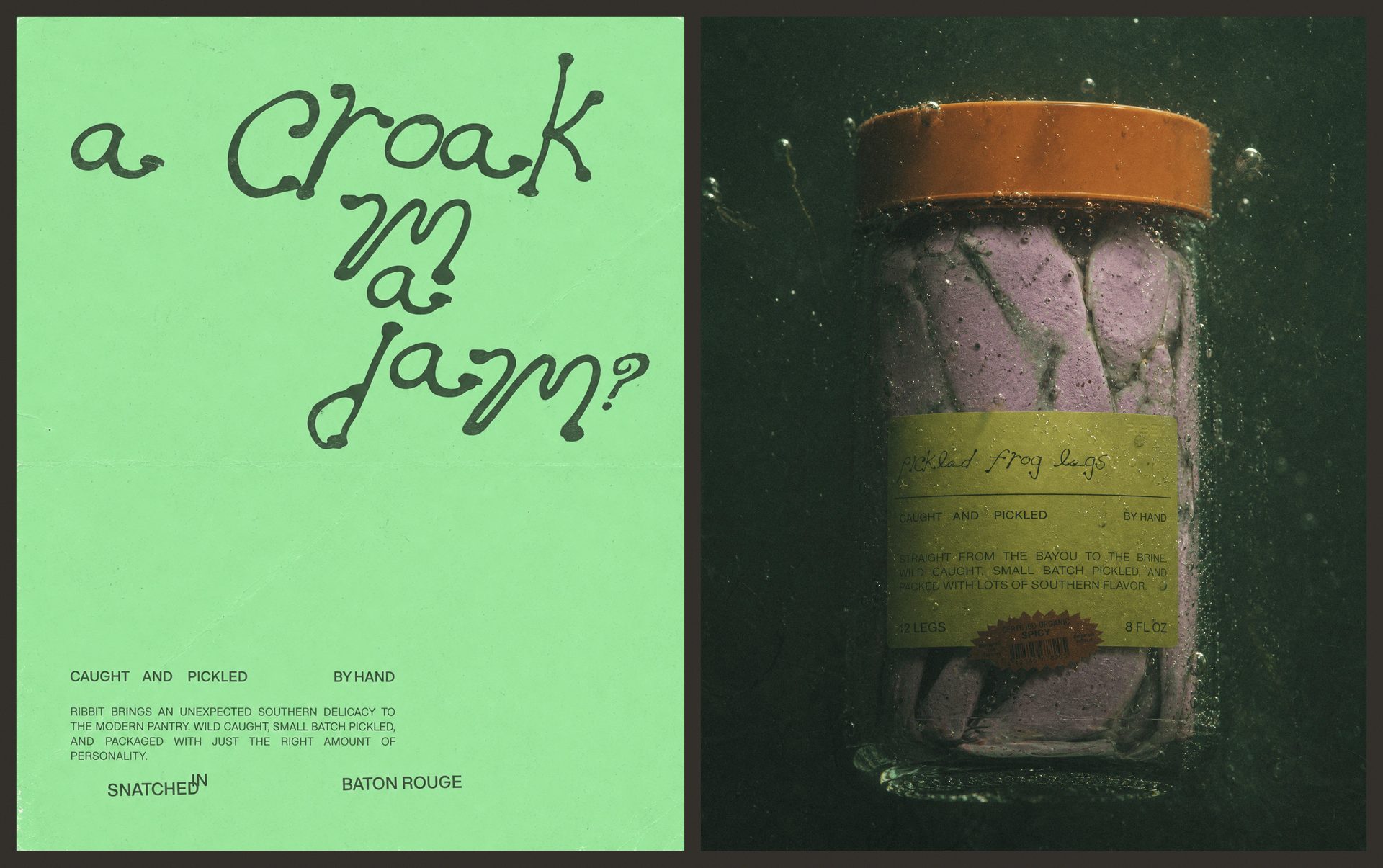 Ribbit - Branding, Packaging Design, & 3D Renderings — Saxon Campbell, image 3