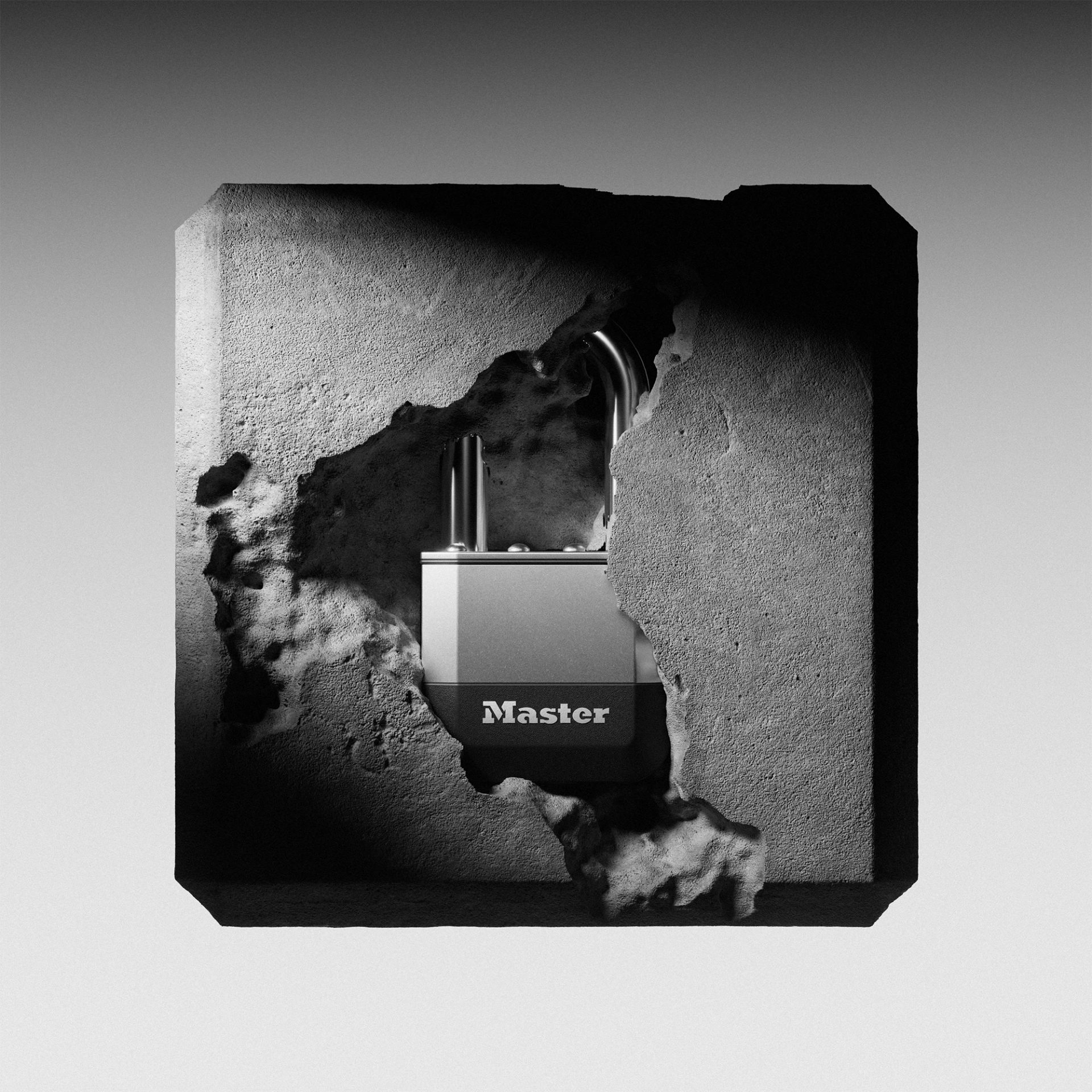 MasterLock Elite Series — Scott Wilson, image 14
