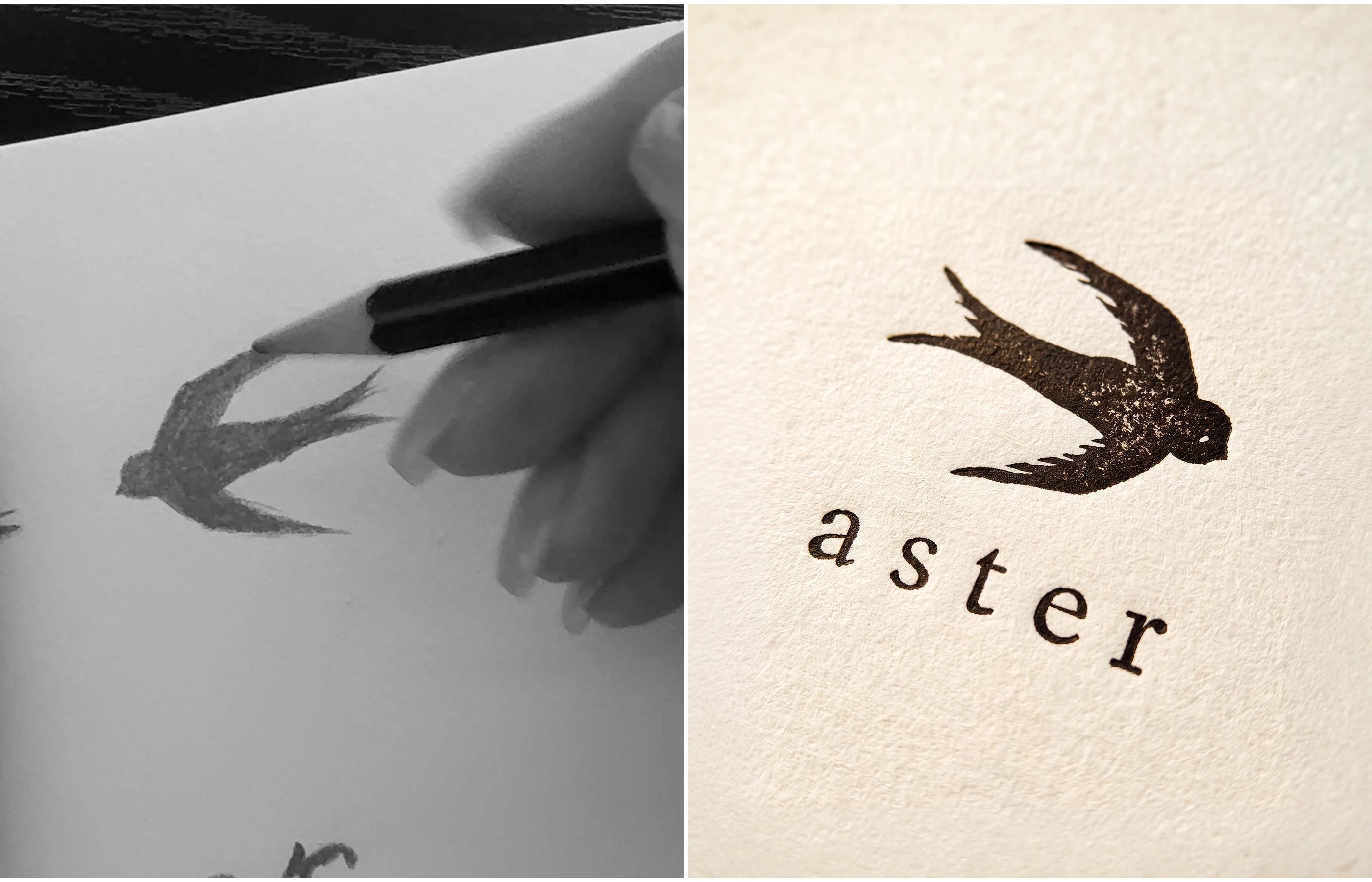 ASTER | Branding, Packaging & Website — Bashynska Design, image 2