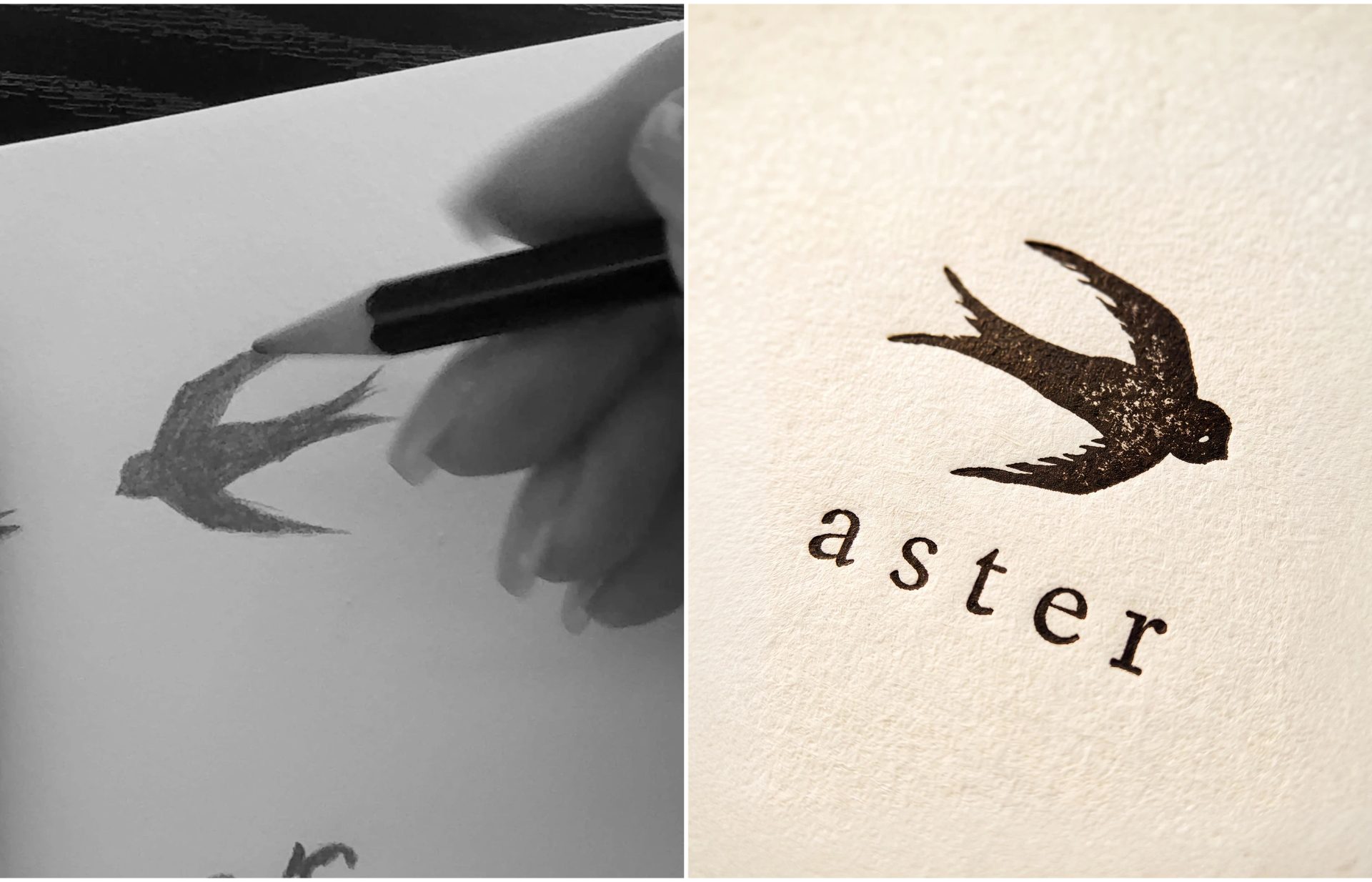 ASTER | Branding, Packaging & Website — Bashynska Design, image 2