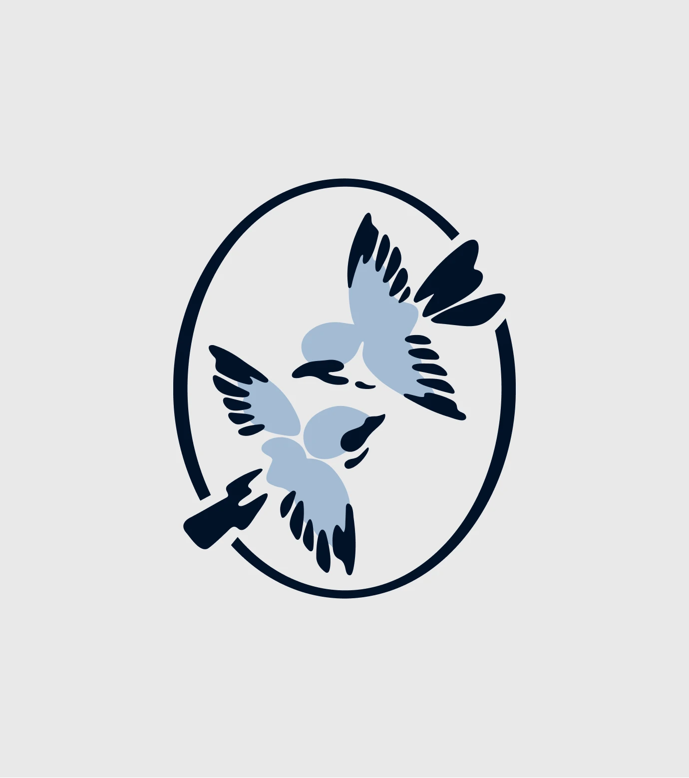 Navy and pale blue bird logo with three birds in flight, enclosed by a broken oval on a light gray background.