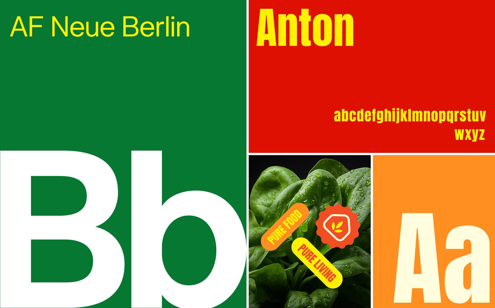 Organic Food & Grocery Brand Identity — Tamim Islam, image 30
