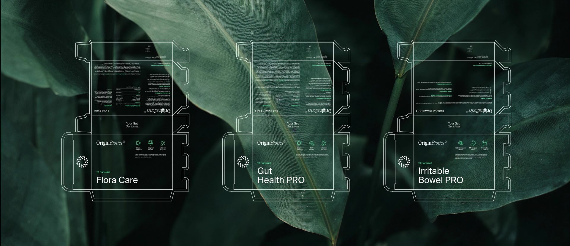 OriginBiotics supplement branding and packaging — Maja Regula, image 14