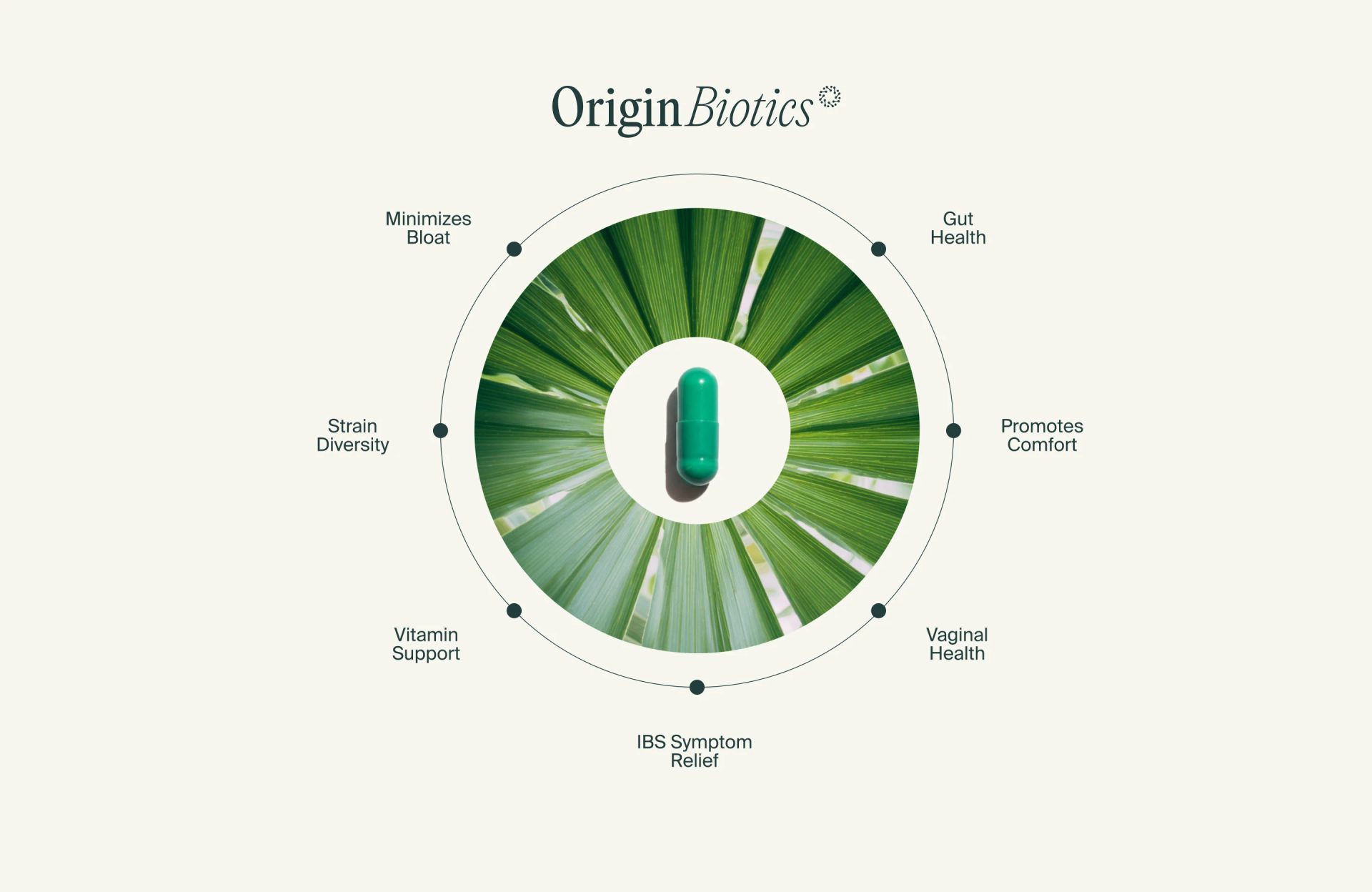 OriginBiotics supplement branding and packaging — Maja Regula, image 13