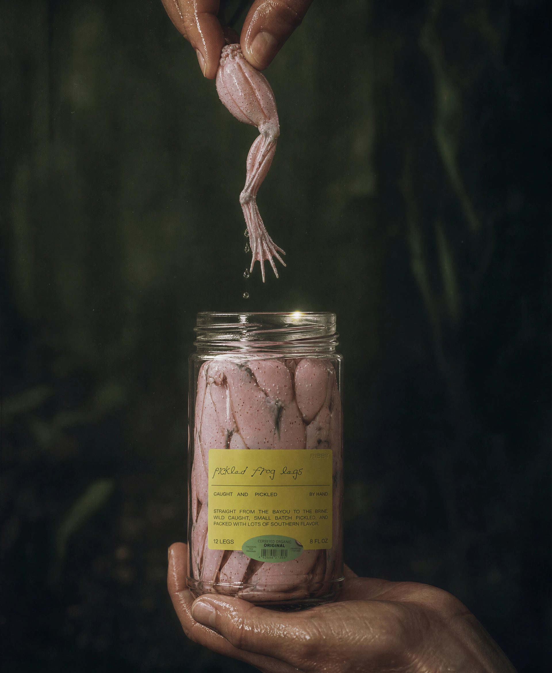 Ribbit - Branding, Packaging Design, & 3D Renderings — Saxon Campbell, image 4