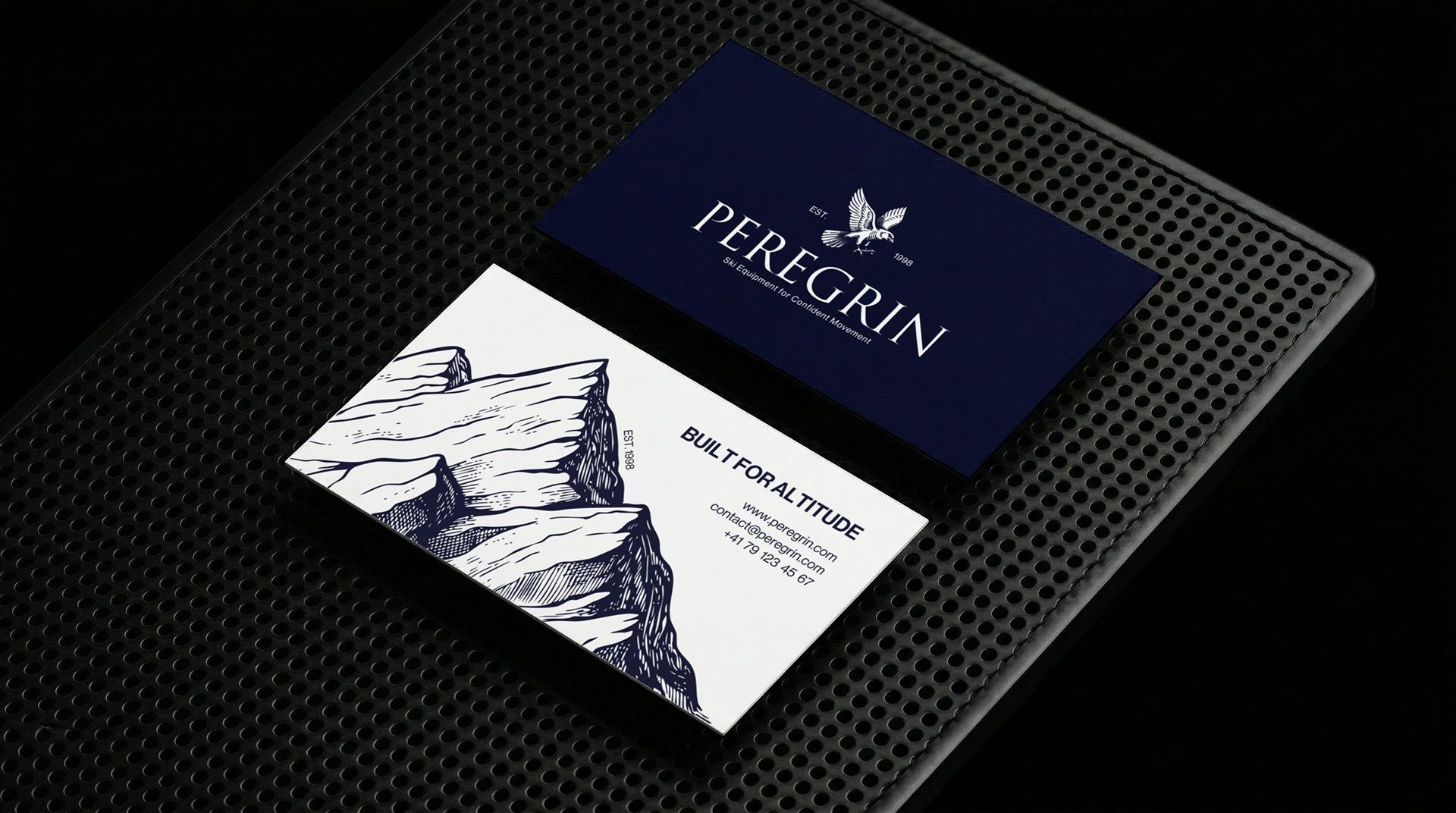 Ski equipment brand identity | PEREGRIN — Olesia Stupiak, image 9