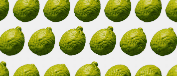 Sillage — Sonya Shekhanova GraphFrog, image 5