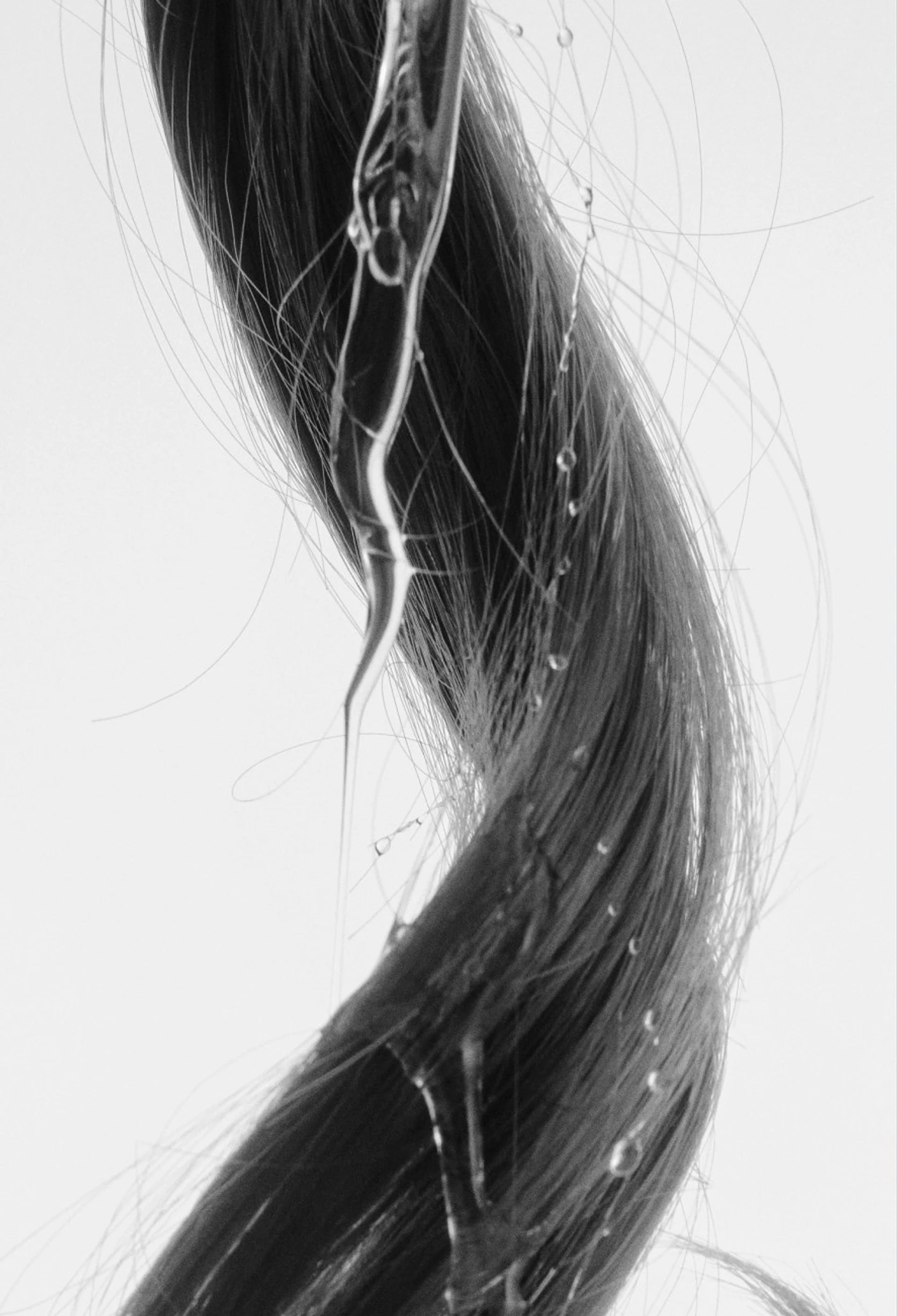 Paralian, Hair Care. Packaging & Identity. — Dina Nuftugaliyeva, image 20