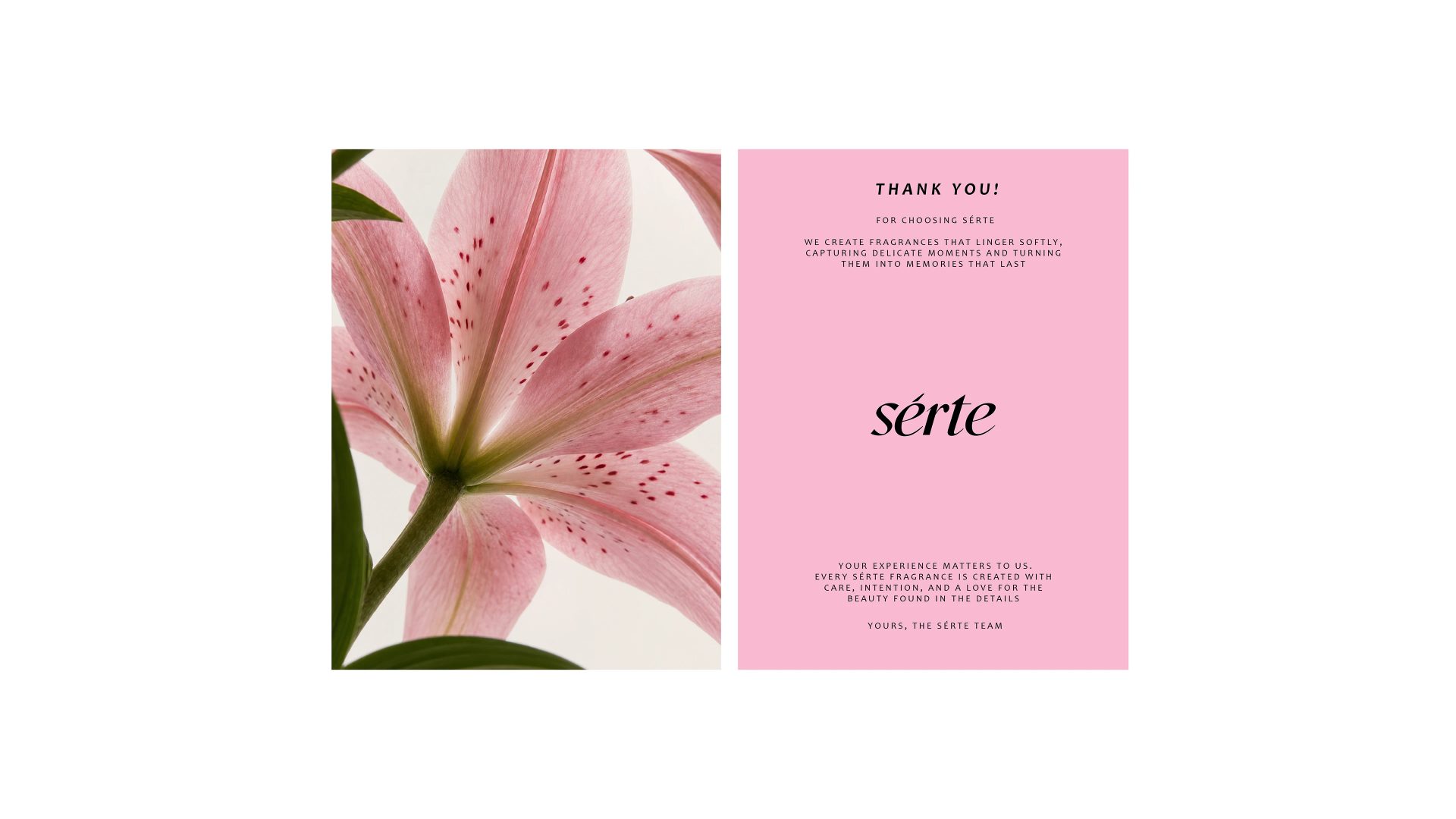 Serte Perfume Branding — Soofi Art Studio, image 26
