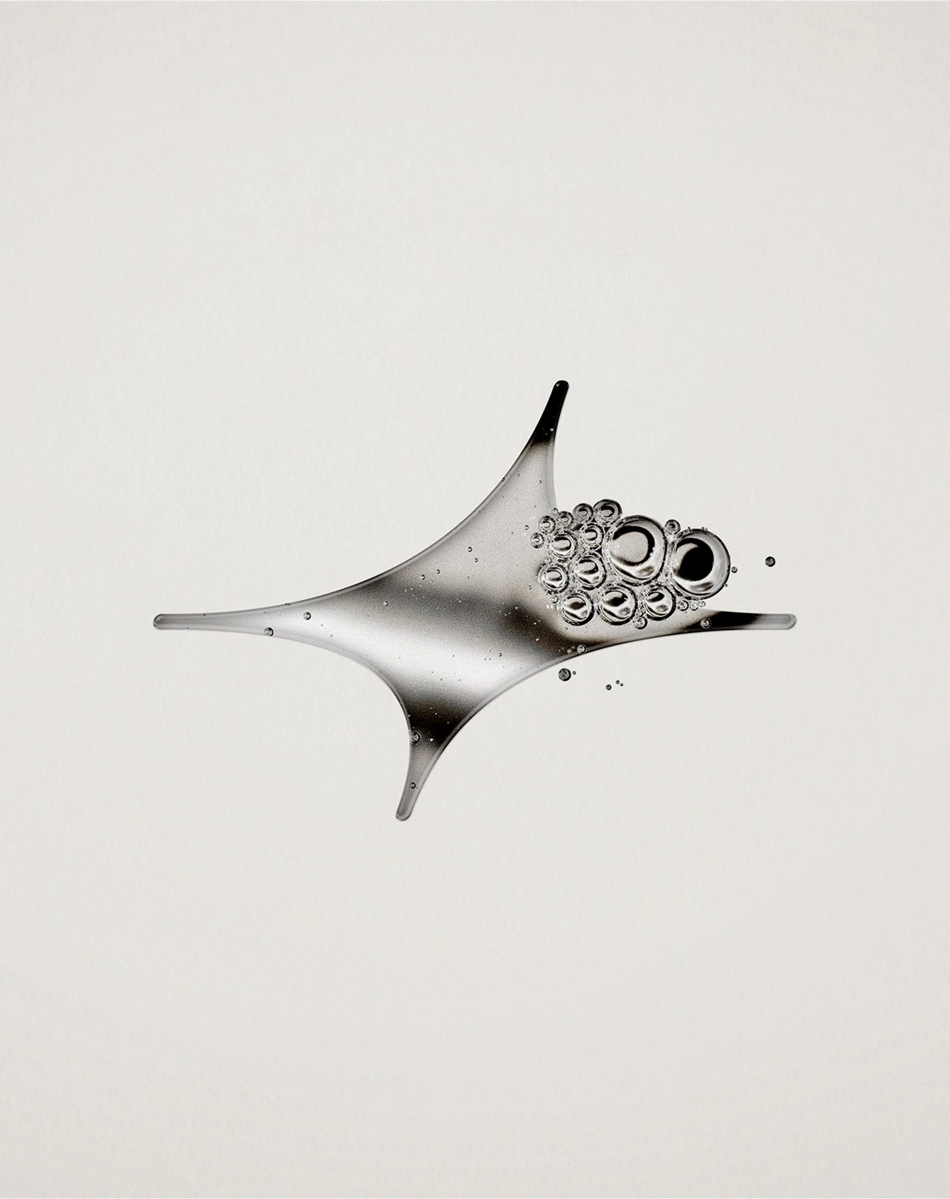 FAWE — Serena Studio, image 19