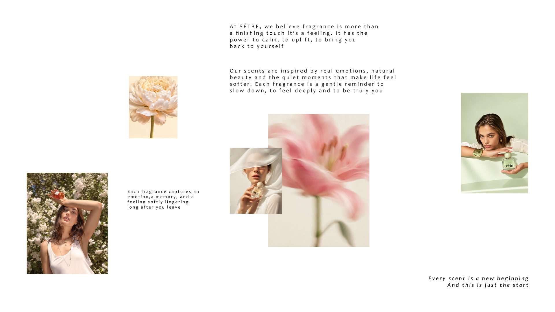 Serte Perfume Branding — Soofi Art Studio, image 12