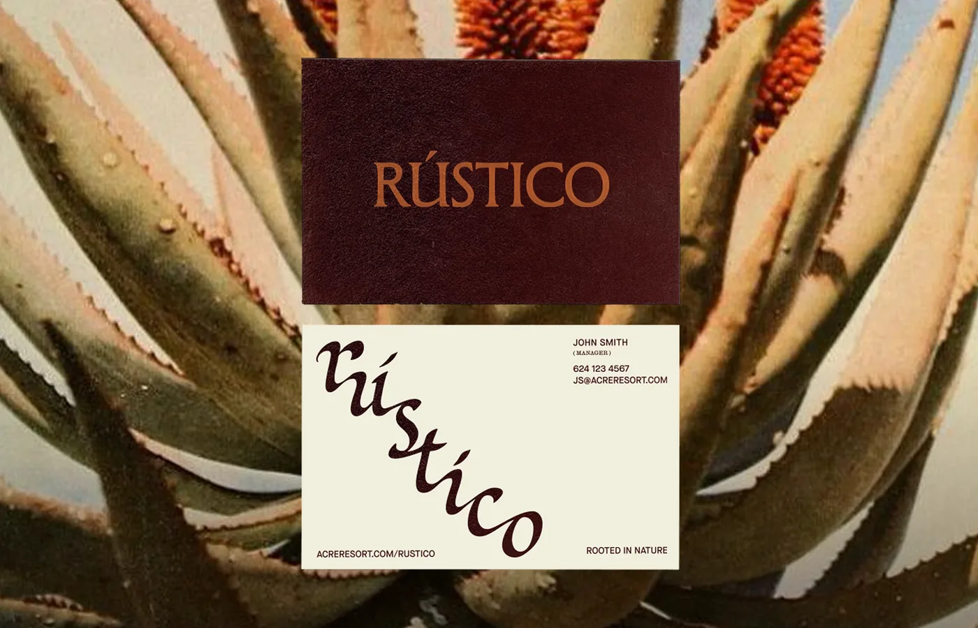 Rustico — Atla Branding Agency