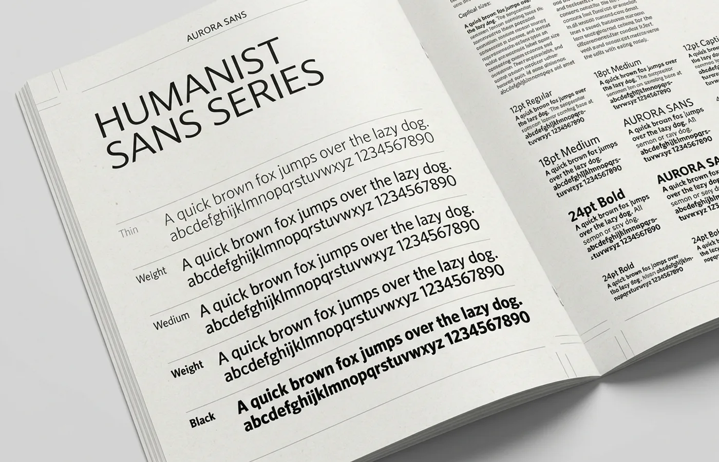 A typographic specimen showing a clean humanist sans-serif at multiple weights and optical sizes on an off-white background, like a type foundry catalog page