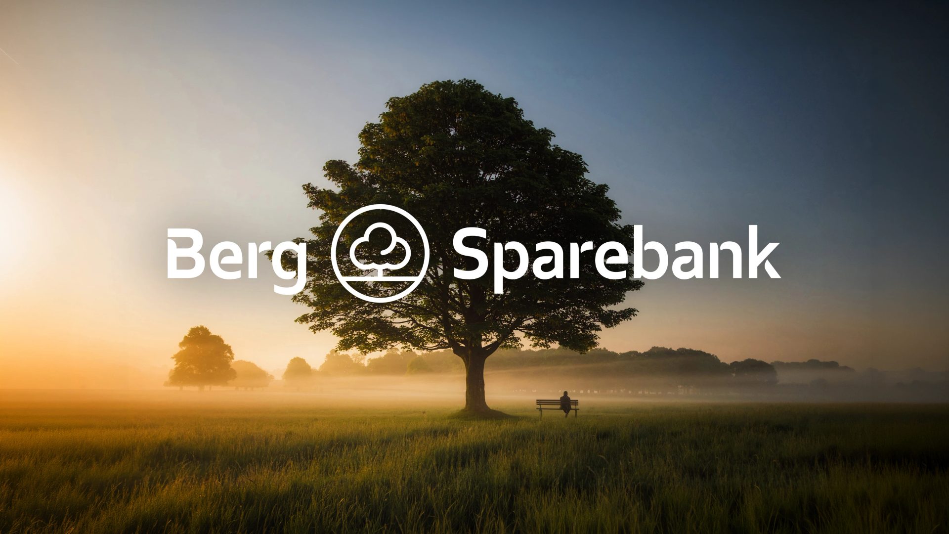 Berg Sparebank — Mission Design, image 1