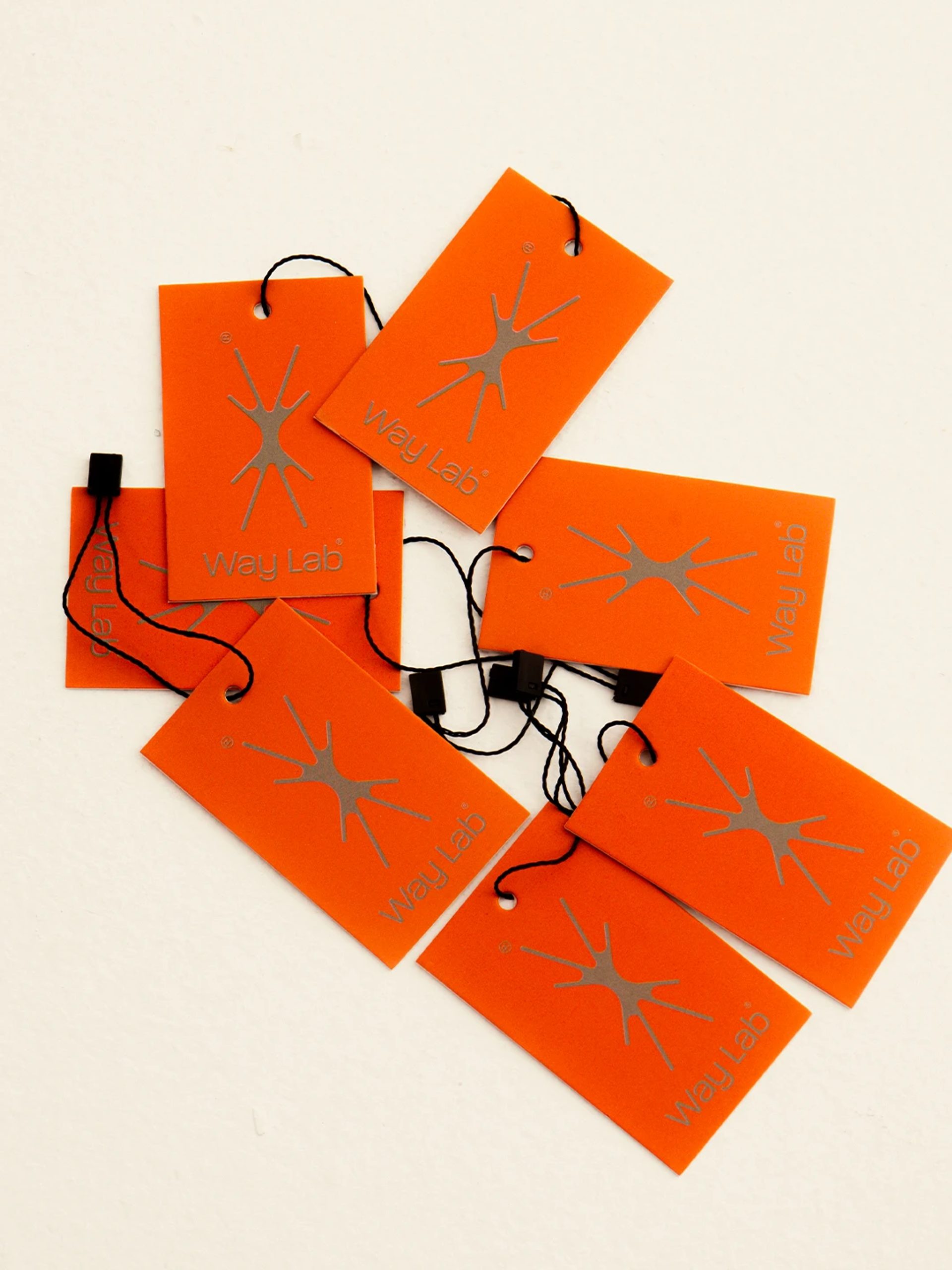 Way Lab — Caio César, image 15