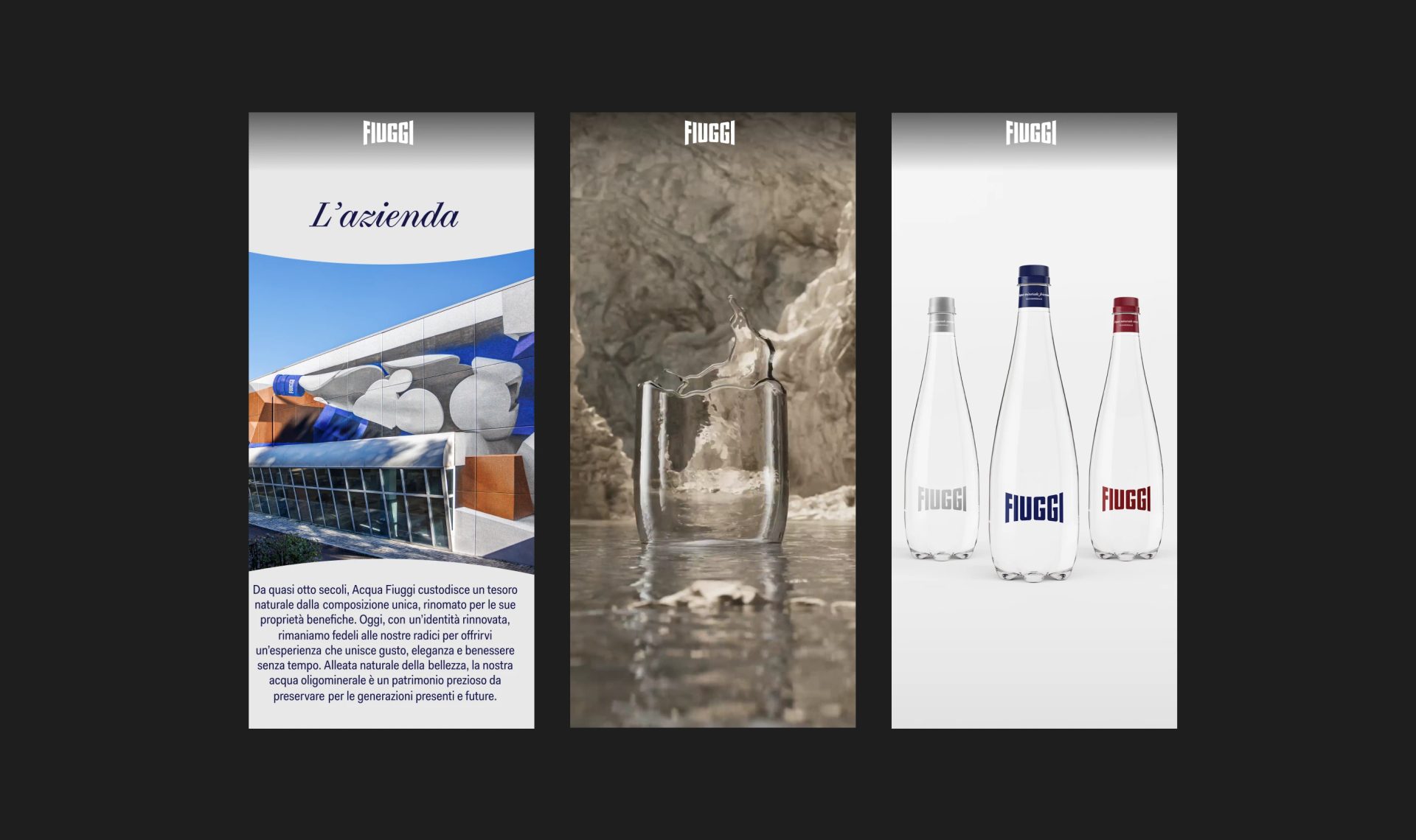 Fiuggi - Rebranding — Irene Salvadeo, image 11