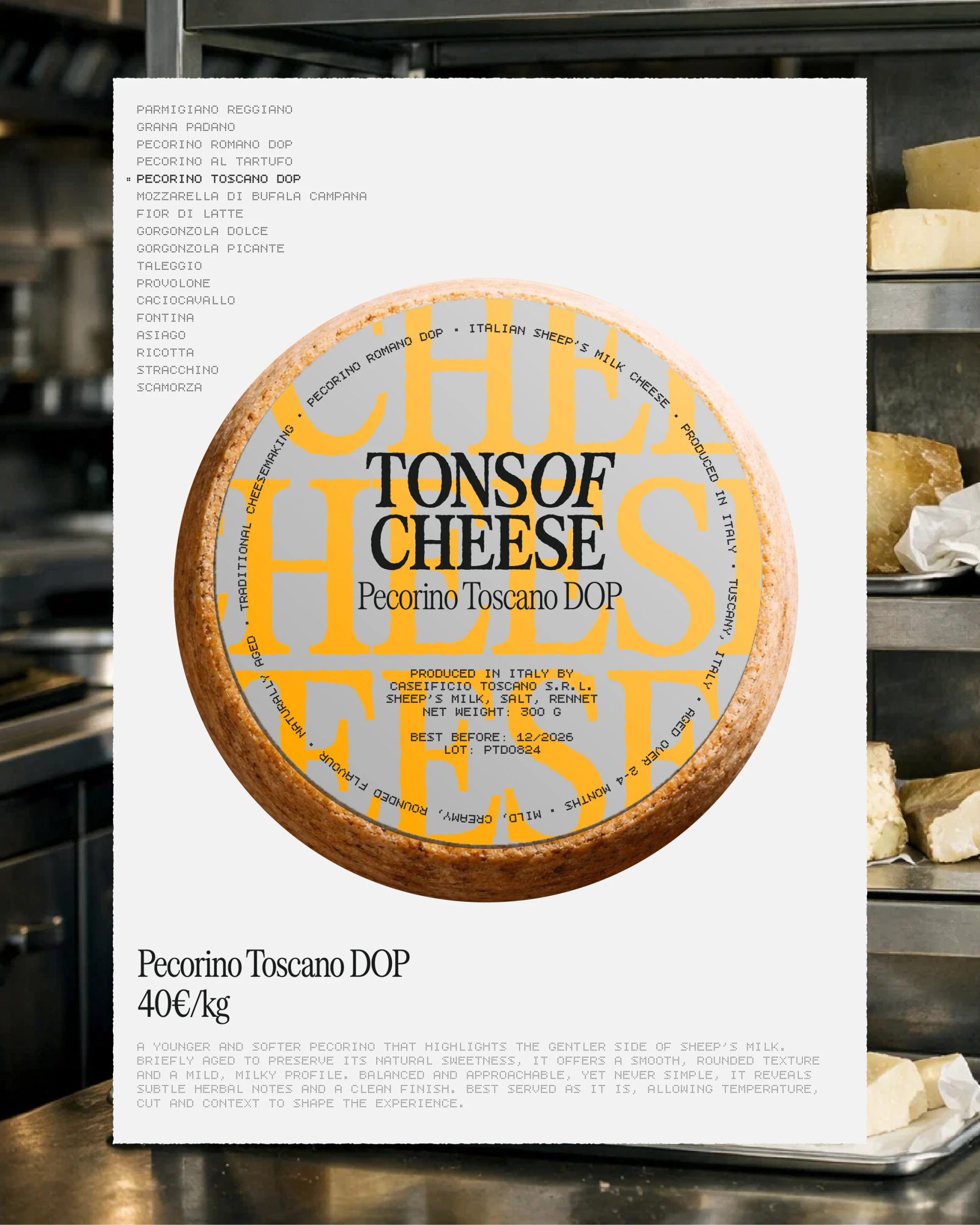 Tons of Cheese - Italian Restaurant — Sara Bautista Studio, image 33