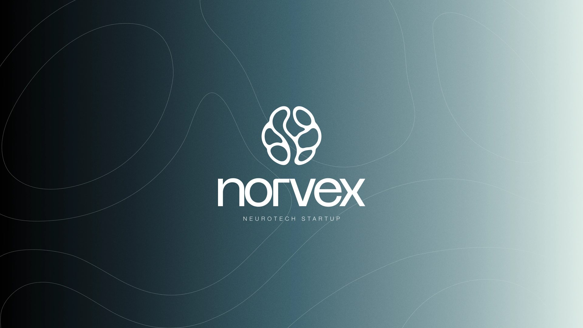 NORVEX — EGO® LAB, image 7