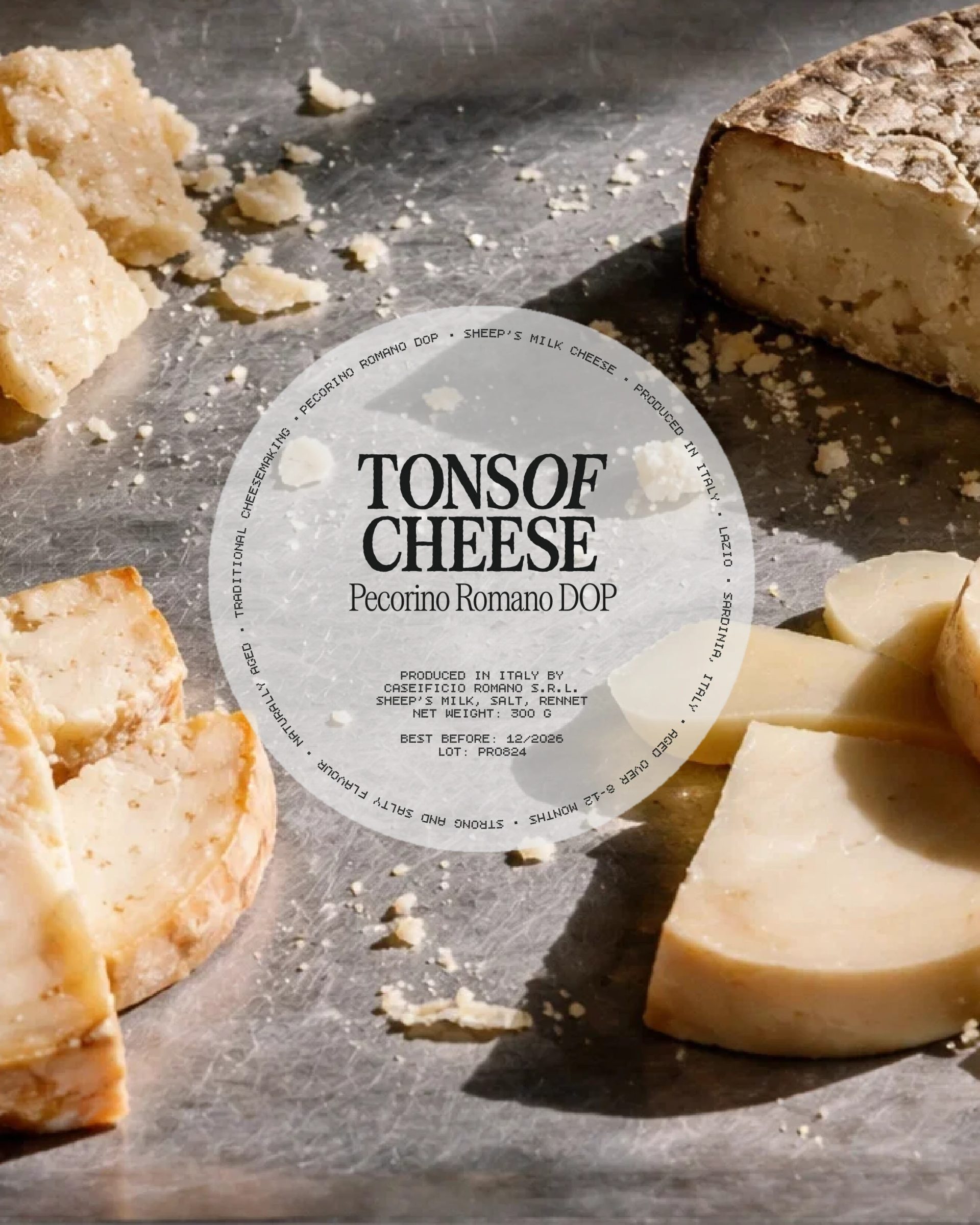 Tons of Cheese - Italian Restaurant — Sara Bautista Studio, image 14