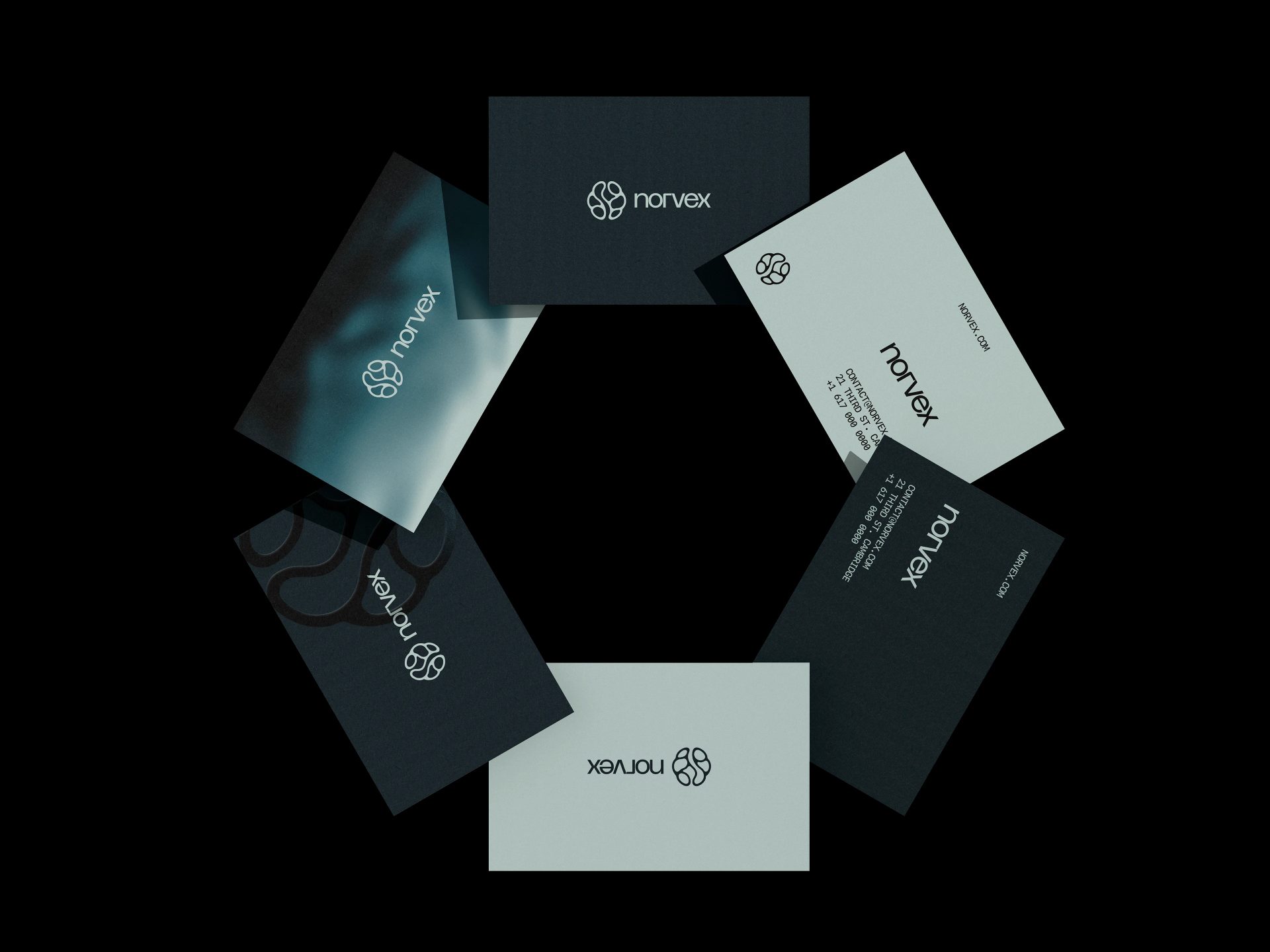 NORVEX — EGO® LAB, image 19