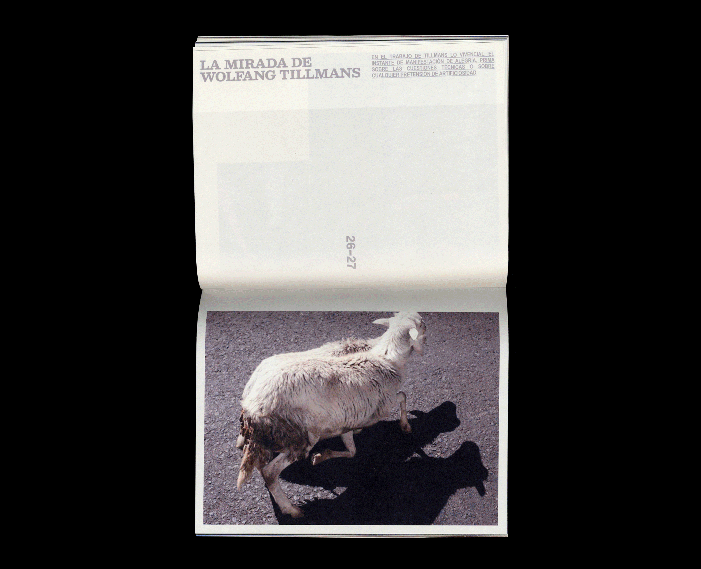 Viga Magazine | Editorial Design — Irene Agulló, image 9