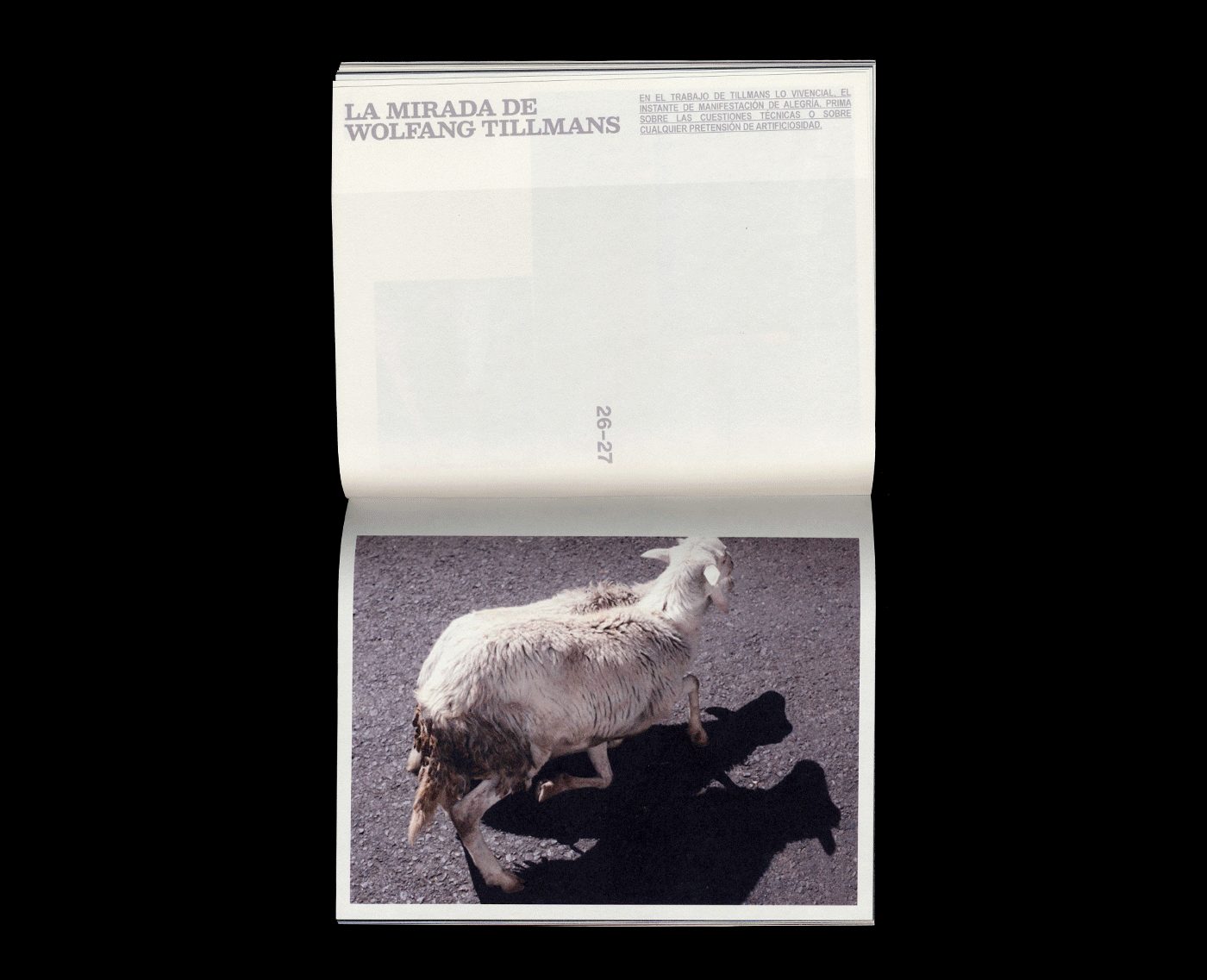 Viga Magazine | Editorial Design — Irene Agulló, image 9