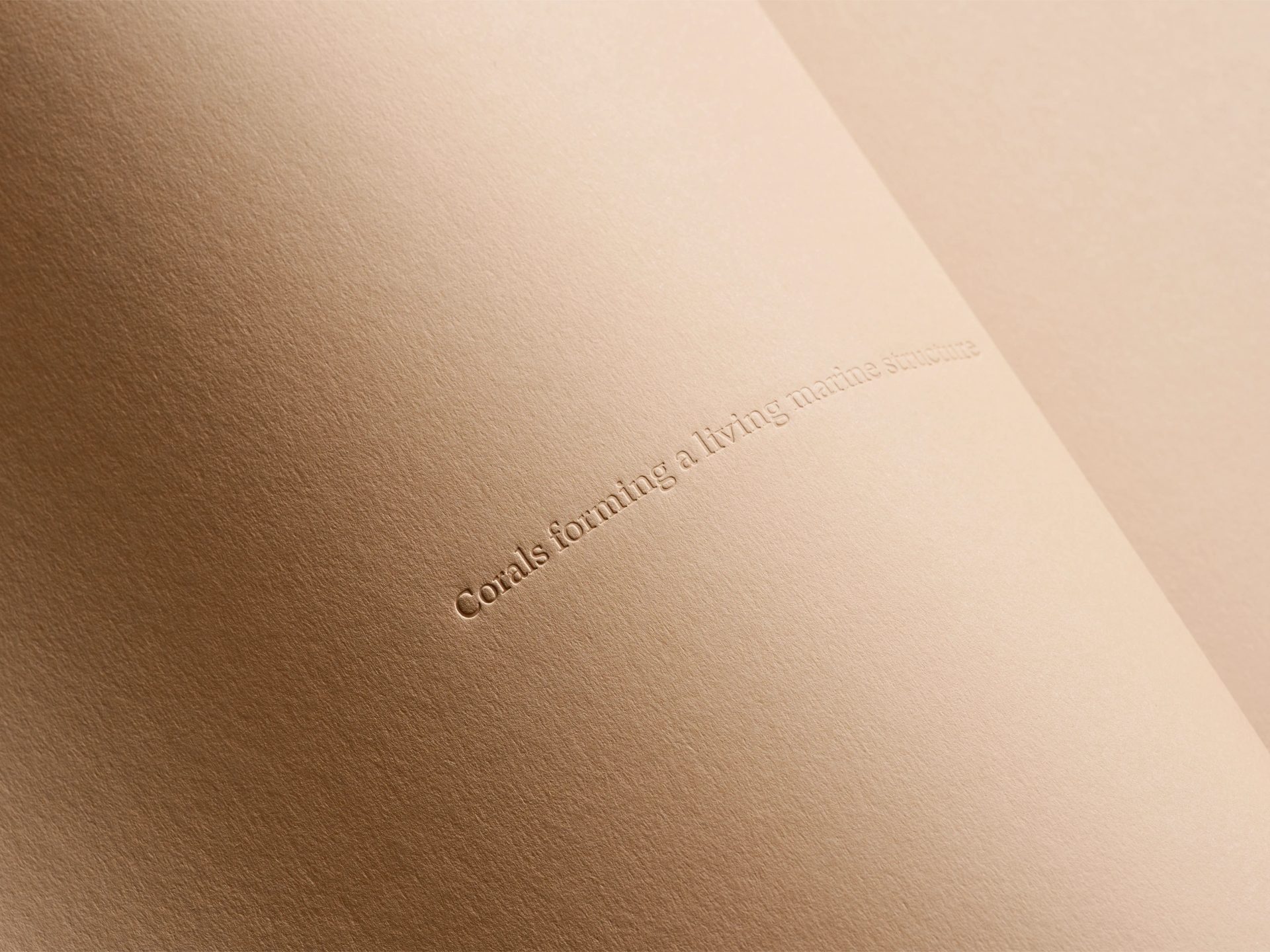 Orikum Marina — Pavel Emelyanov, image 7