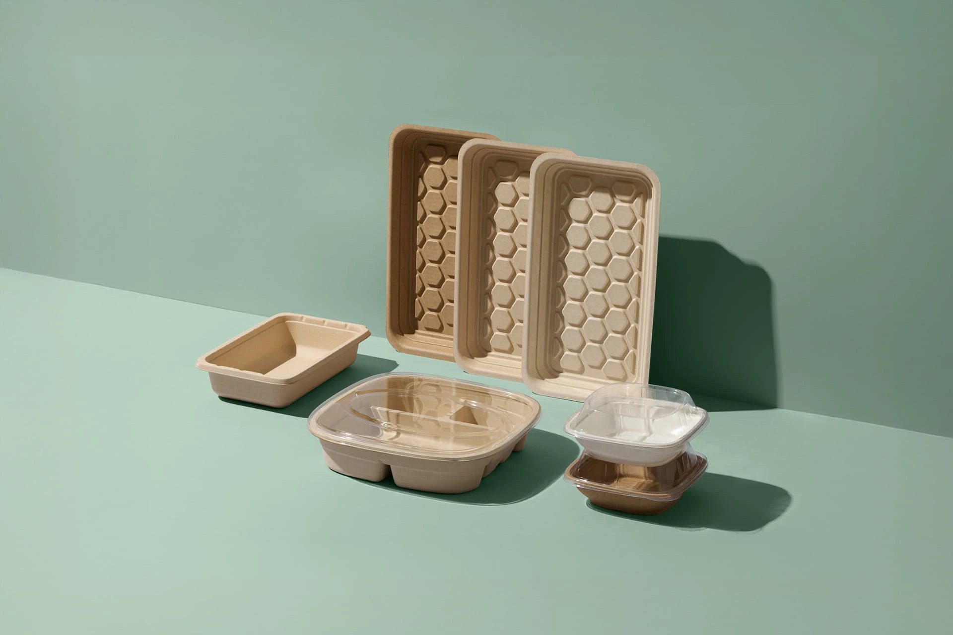 Ecologic Brands — Toormix Design Agency, image 10