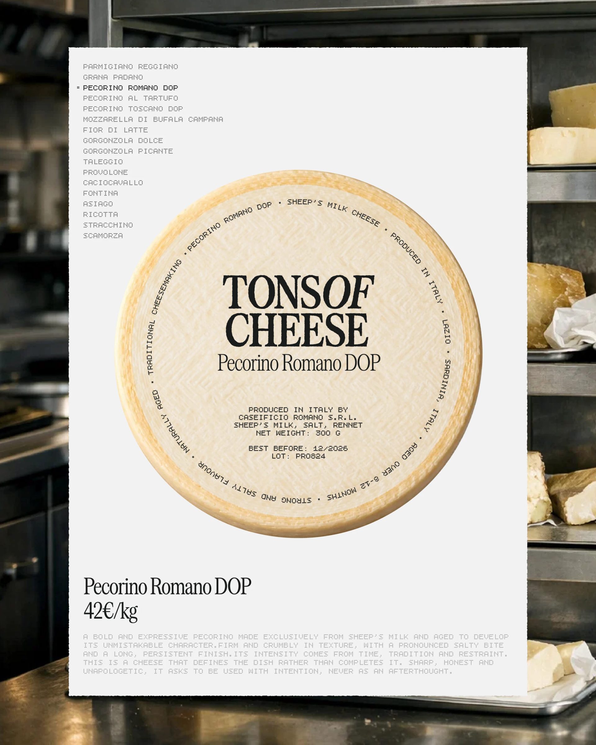 Tons of Cheese - Italian Restaurant — Sara Bautista Studio, image 31