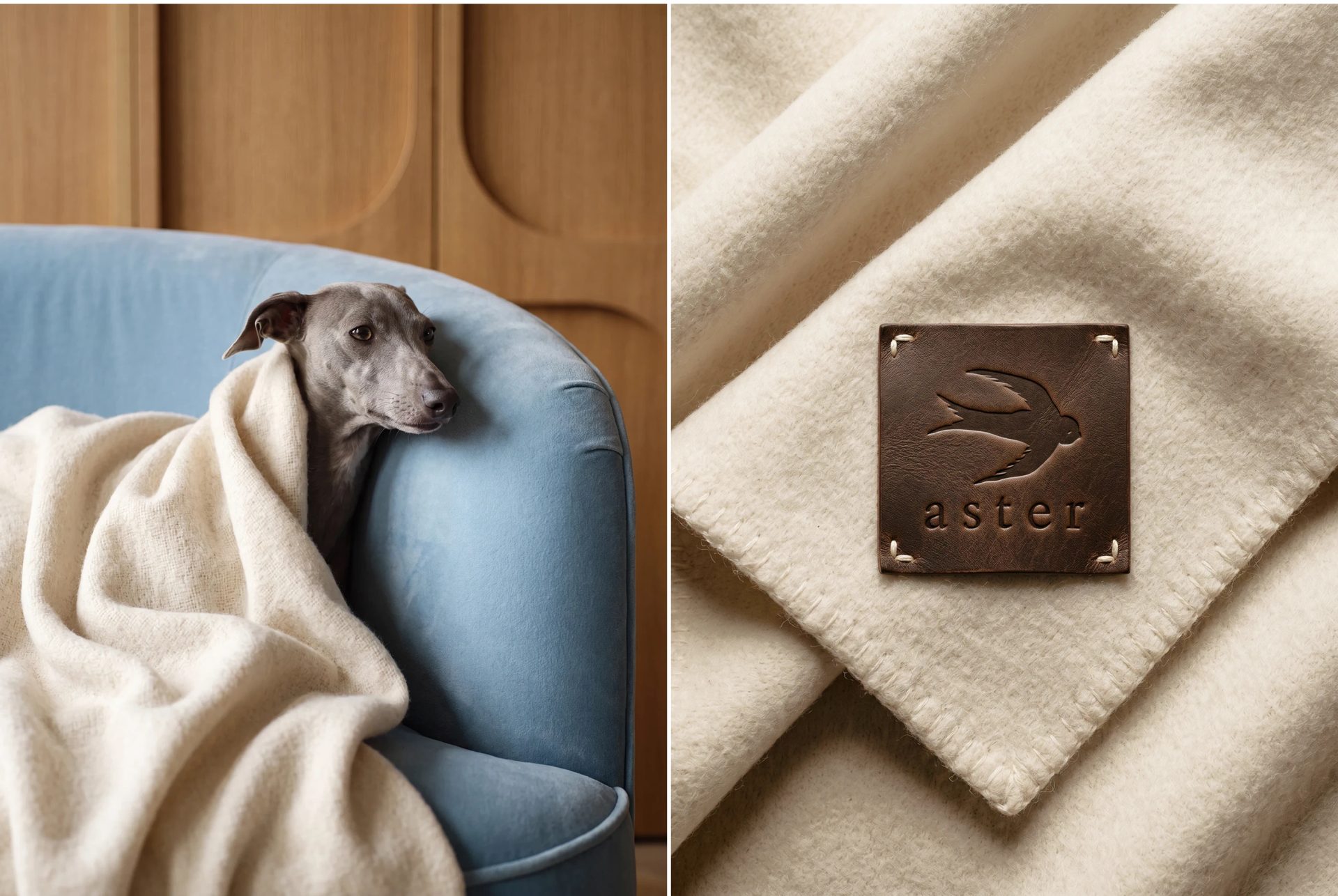 ASTER | Branding, Packaging & Website — Bashynska Design, image 9