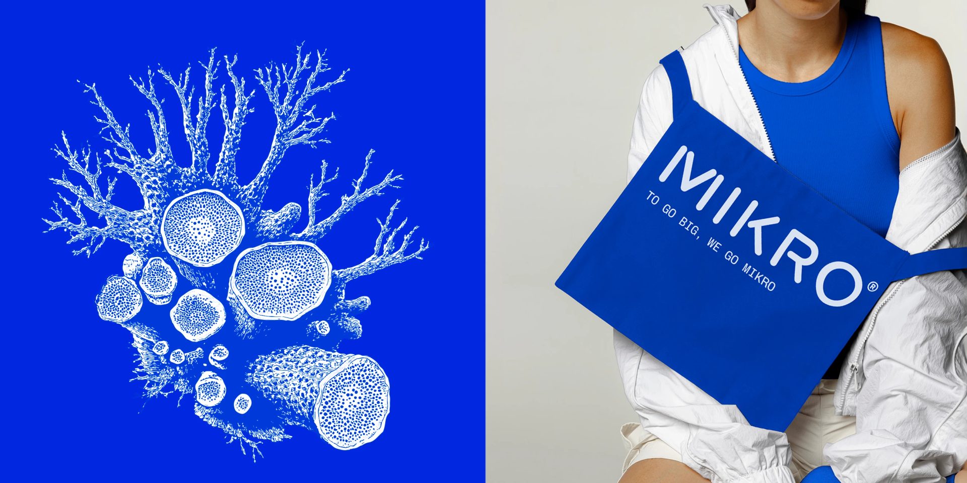 Mikro — Sweety & Co., image 6