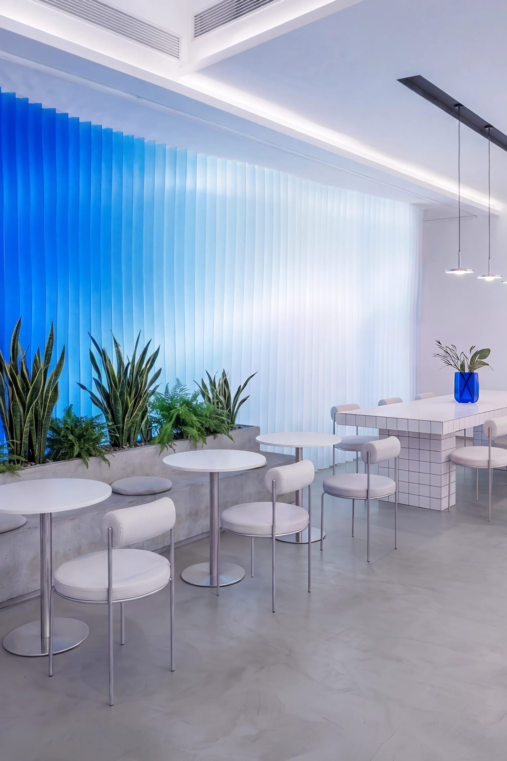 TATA Cafe — Alex Dang, image 26