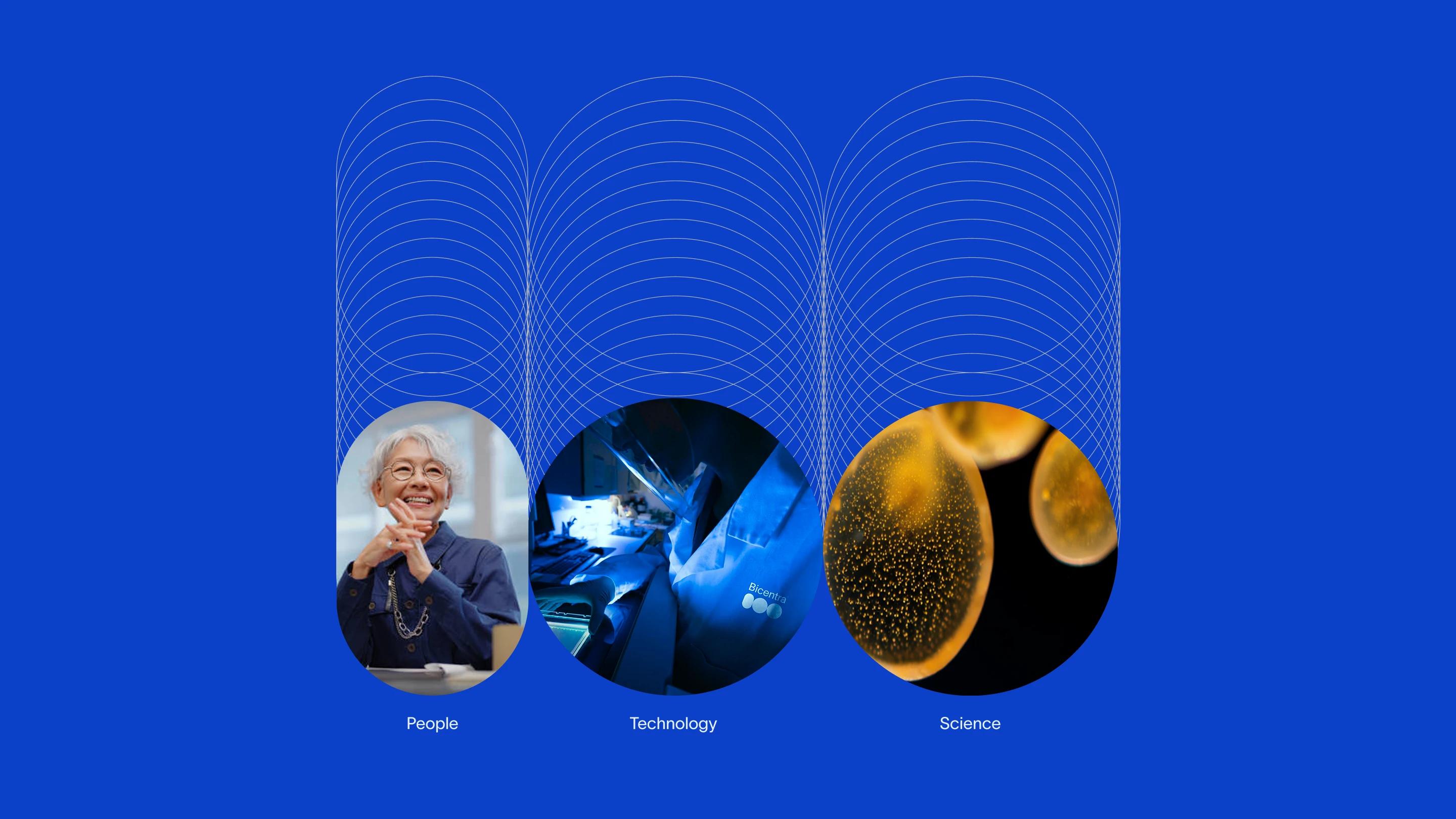 Bicentra Biotech - Brand Identity — Alexander Korzin, image 3