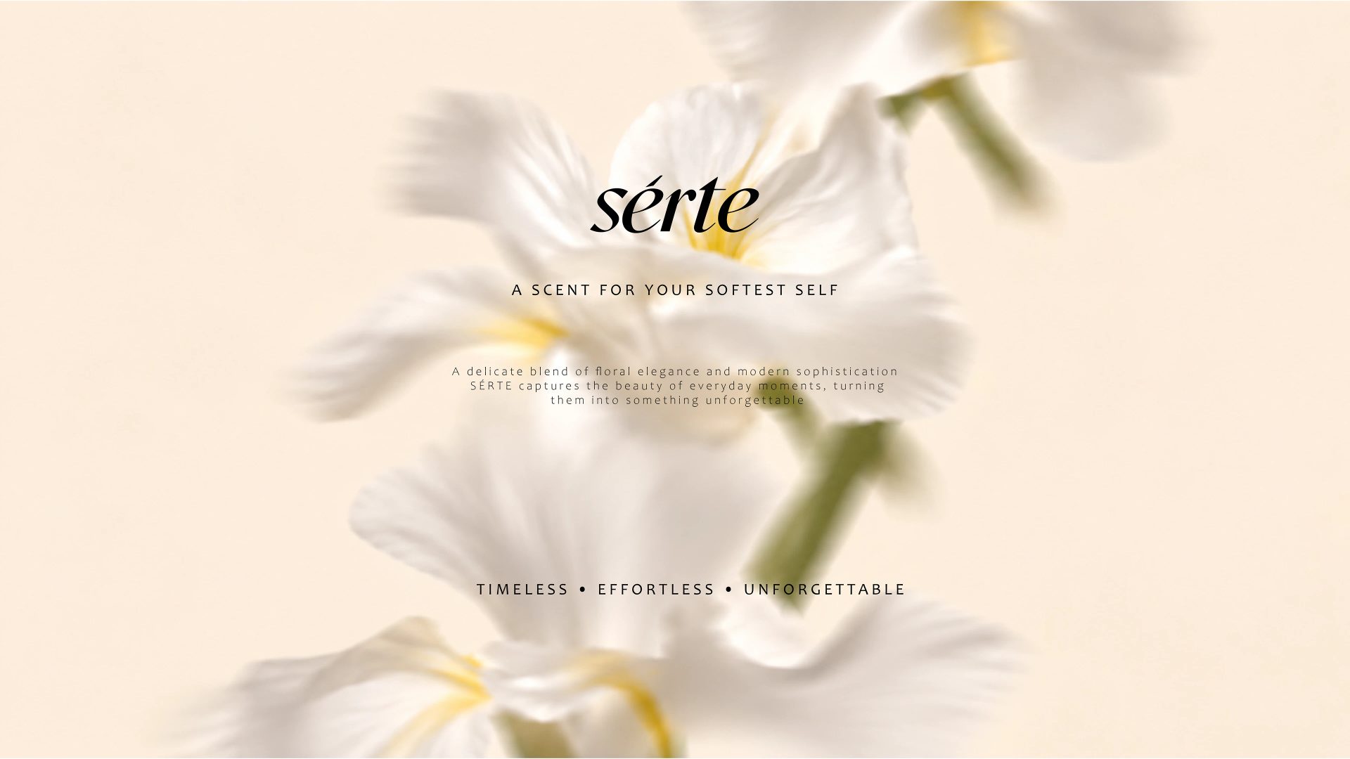 Serte Perfume Branding — Soofi Art Studio, image 14