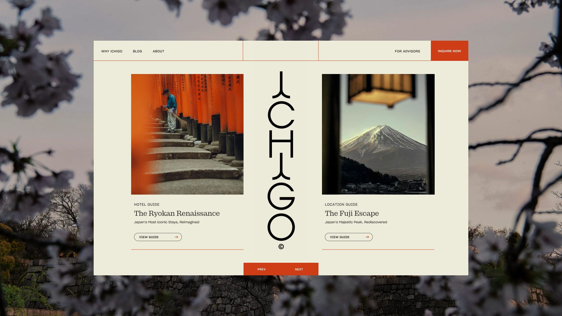 Ichigo - Branding & Website Design — Saxon Campbell, image 5