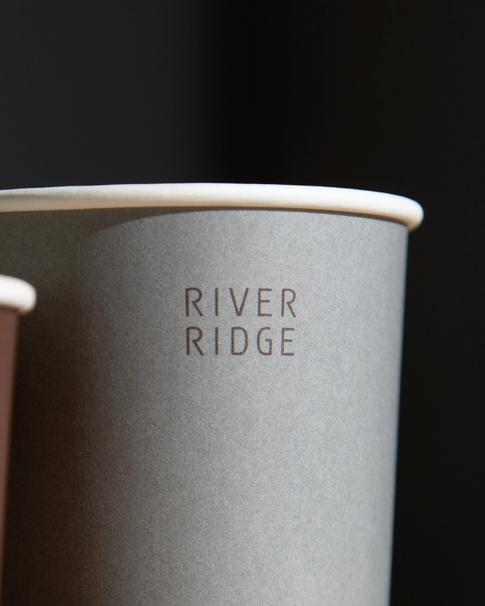 RIVER RIDGE BRAND IDENTITY DESIGN — Junyoup Bong, image 27