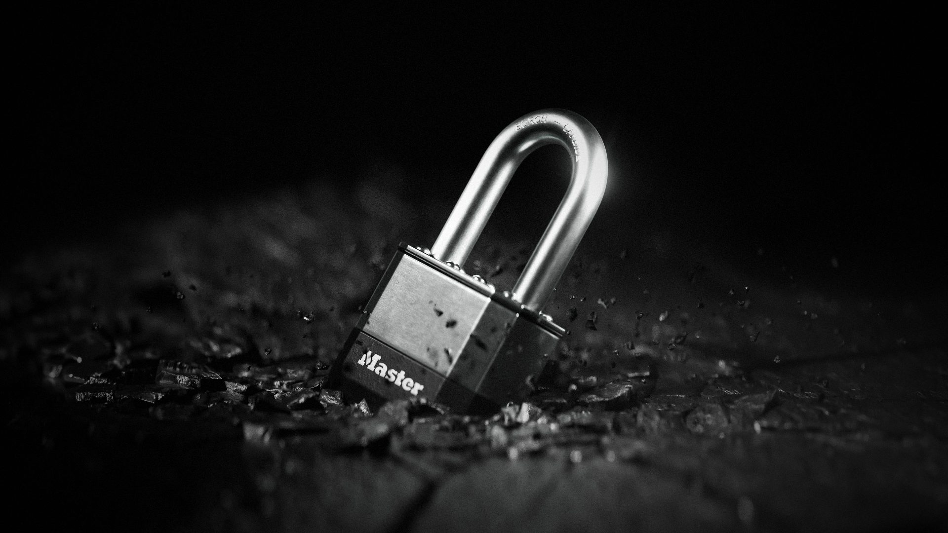 MasterLock Elite Series — Scott Wilson, image 12