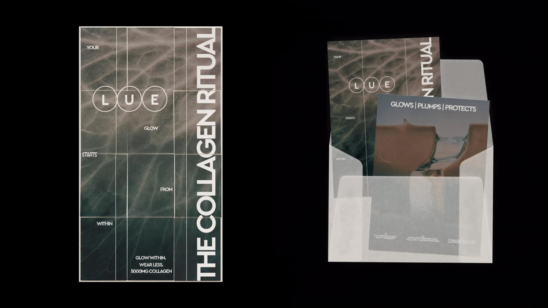 LUE — The Collagen Ritual Packaging & Branding — Anastasiia S., image 2
