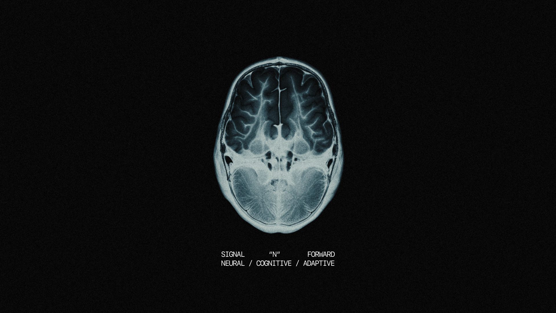 NORVEX — EGO® LAB, image 8