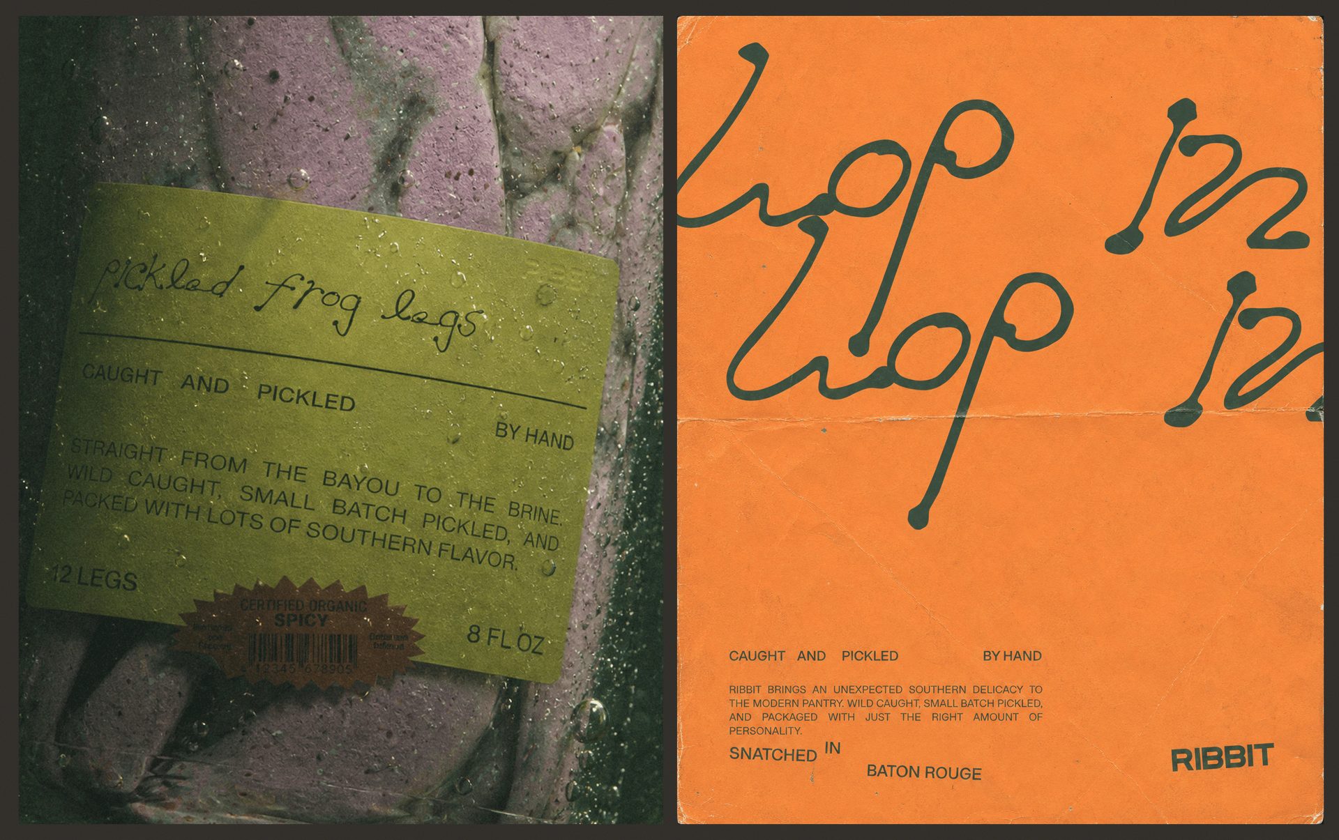 Ribbit - Branding, Packaging Design, & 3D Renderings — Saxon Campbell, image 7