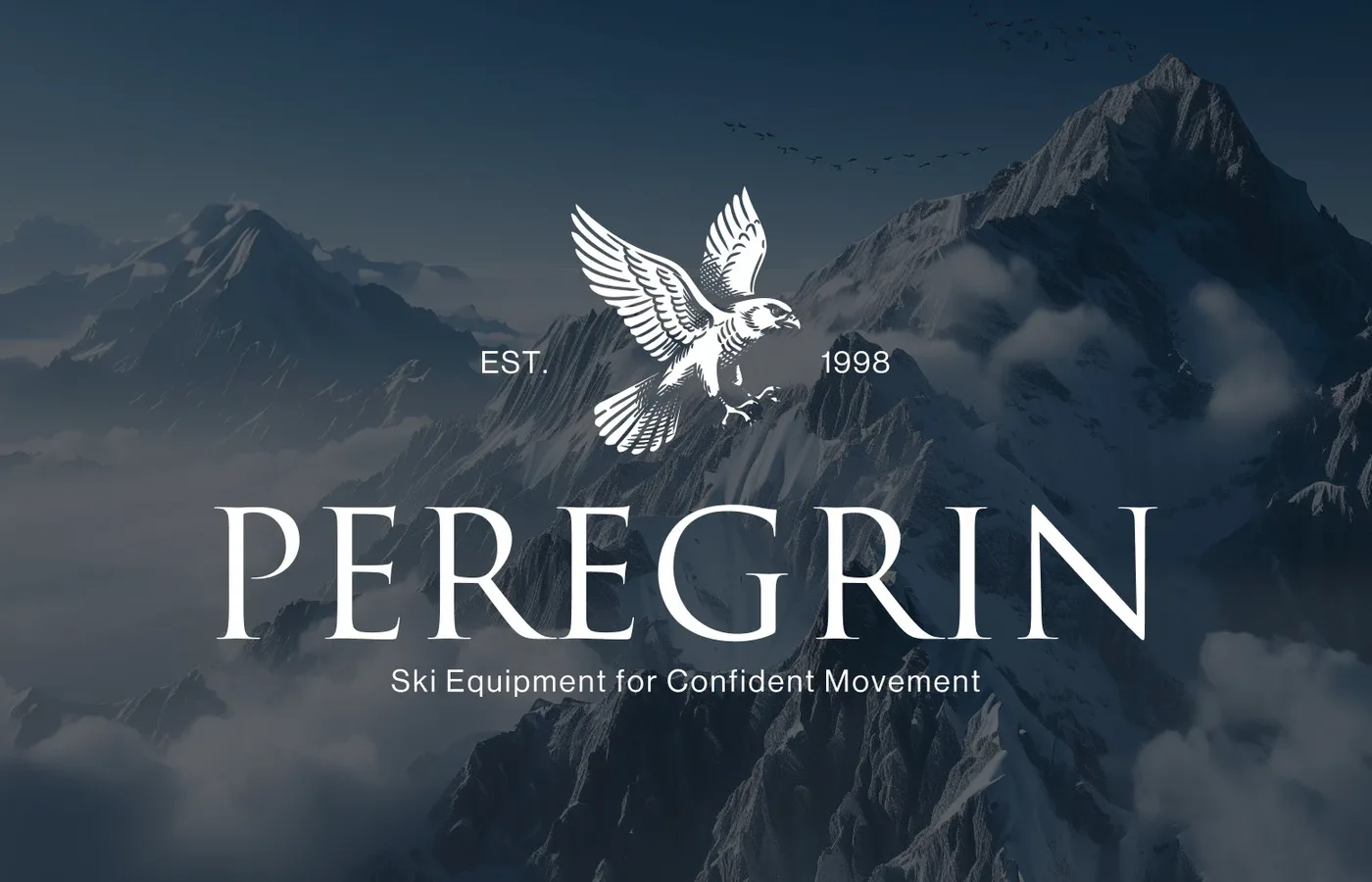 Ski equipment brand identity | PEREGRIN — Olesia Stupiak