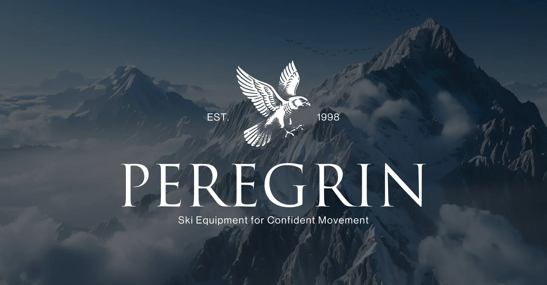 Ski equipment brand identity | PEREGRIN — Olesia Stupiak